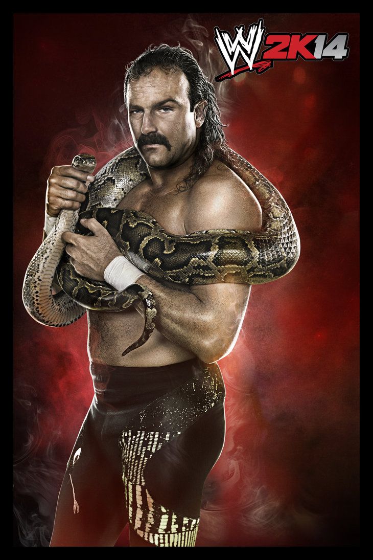 Jake The Snake Roberts WWE2K14 Promo Shoot by TheElectrifyingOneHD. Jake the snake roberts, Jake, Andre the giant