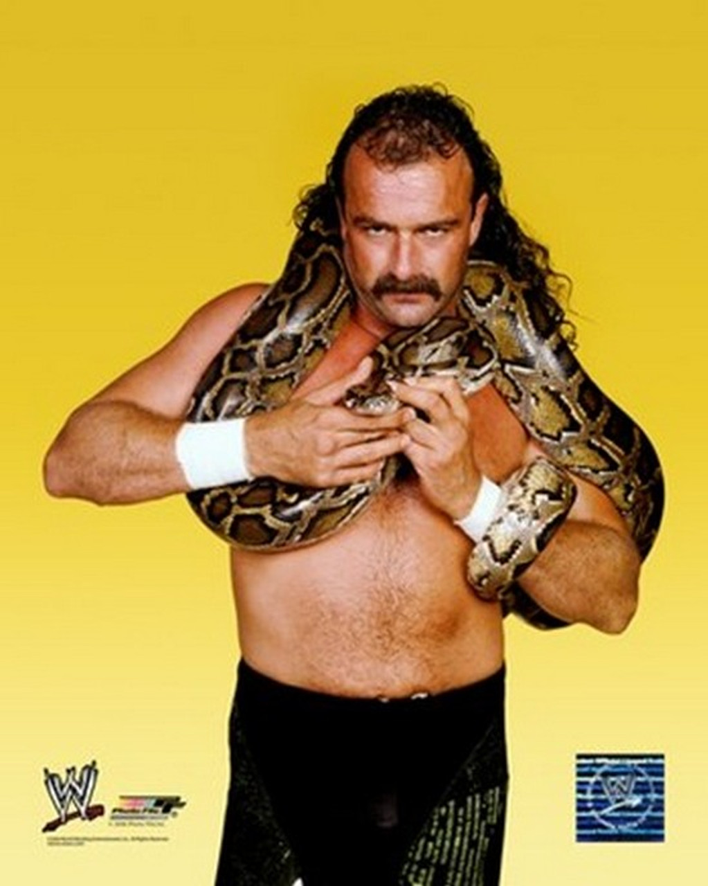 Jake The Snake Roberts - Sports Photo (8 x 10) # PFSAAHF15601