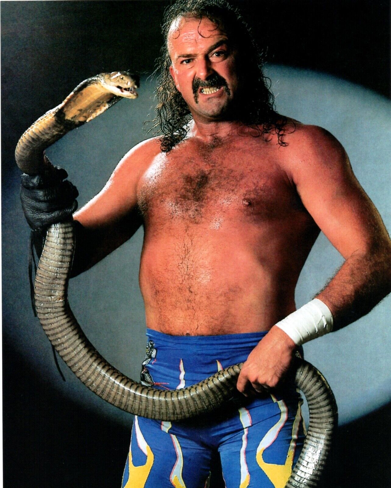 Jake The Snake Roberts WWF 8x10 Photo Wrestling WWE HOF Wrestler