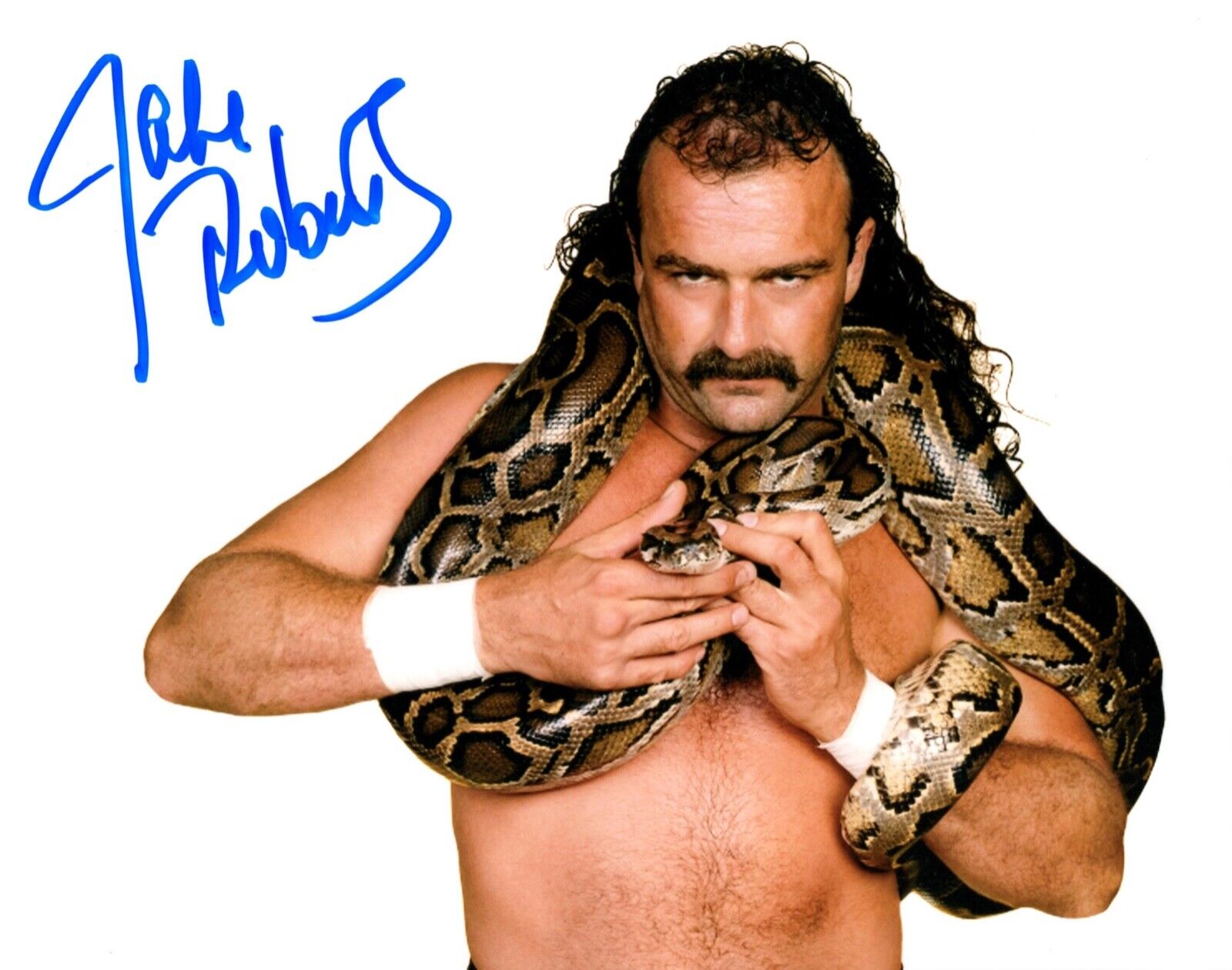 Jake The Snake Roberts Signed WWF 8x10 Wrestling Photo WWE Wrestler HOF Promo