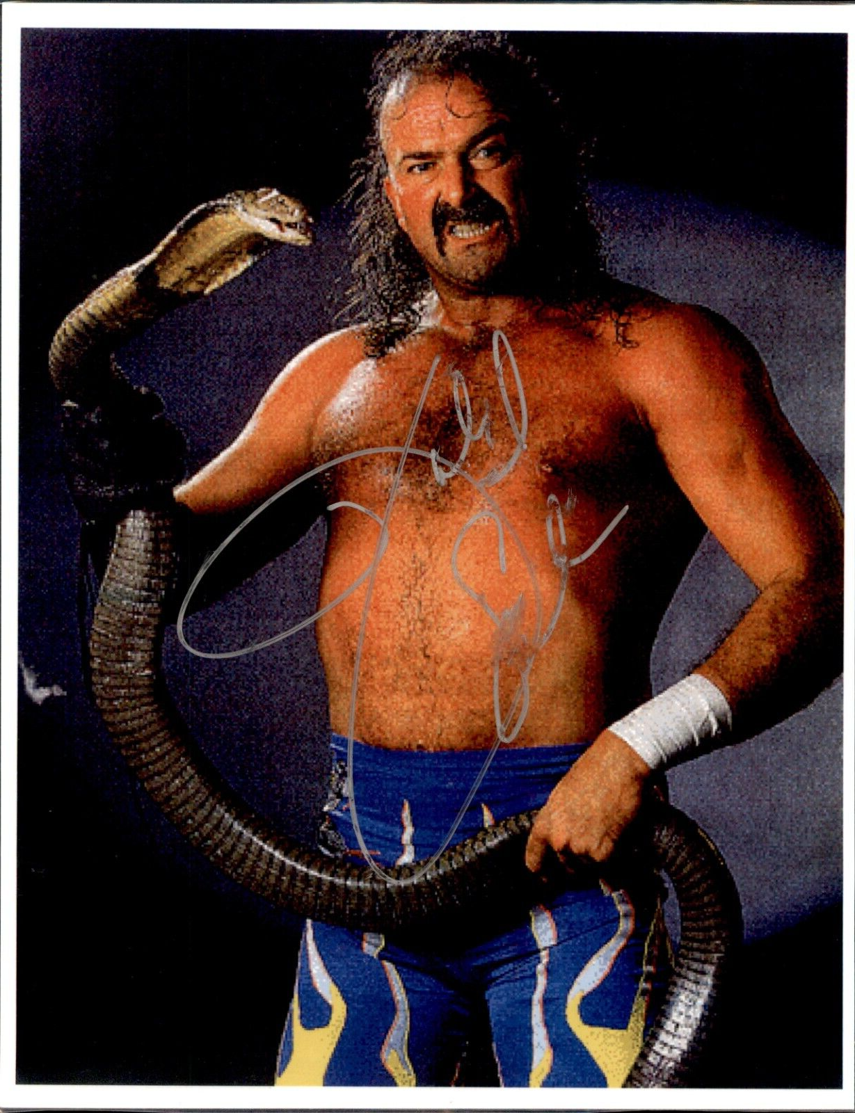 Jake The Snake Roberts Signed Laminated WWF 8.5x11 Photo WWE AEW