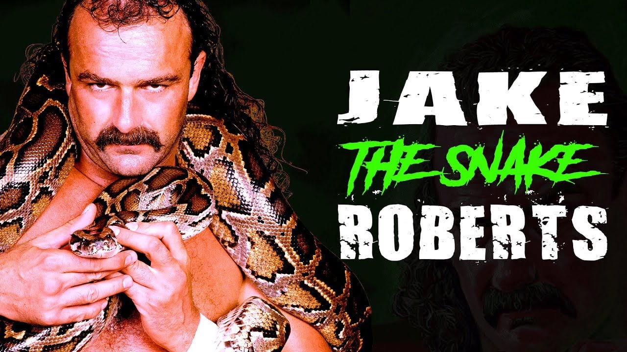 Heavy Wrestle // Jake The Snake Roberts Interview