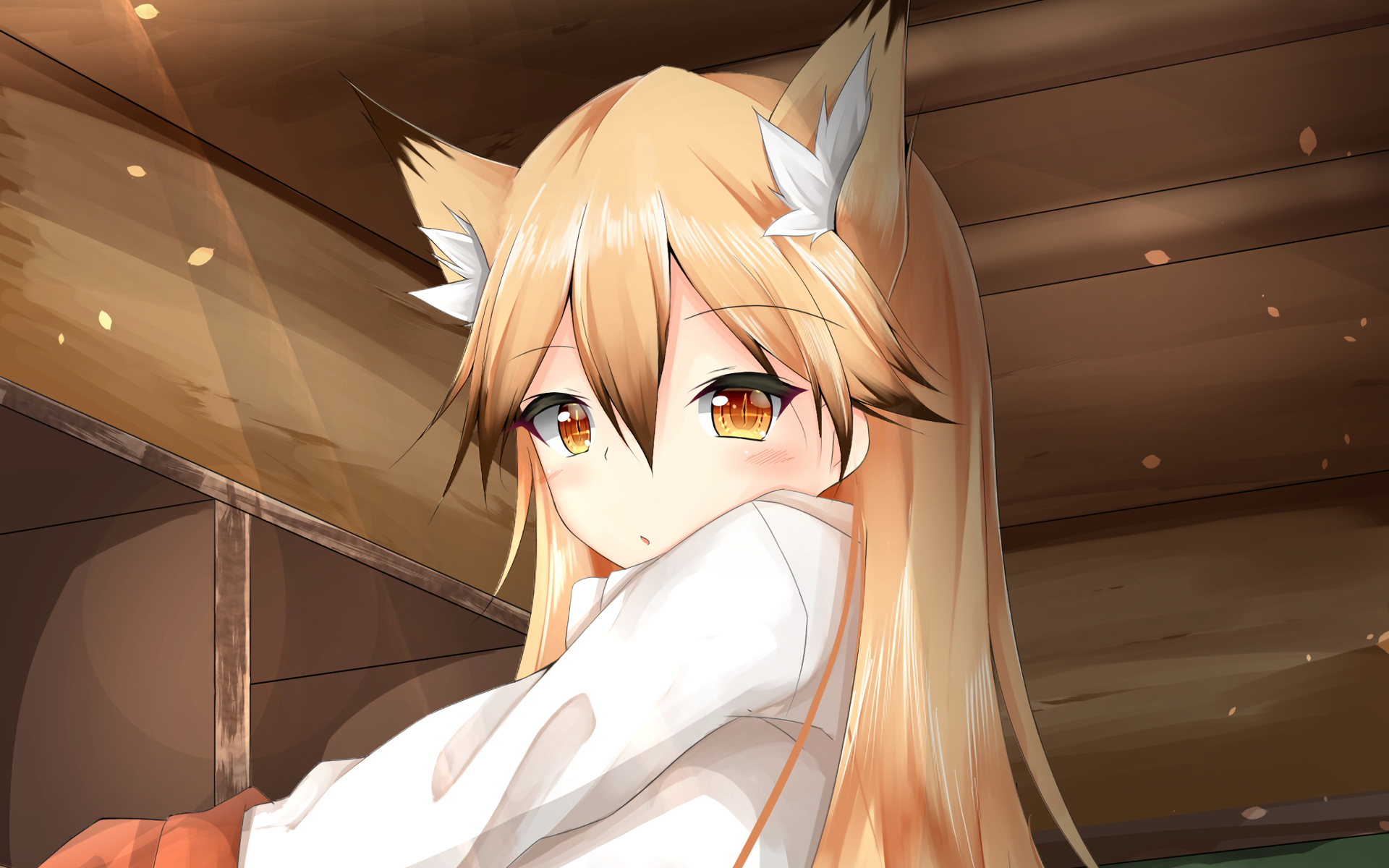 Anime Kemono Friends HD Wallpaper