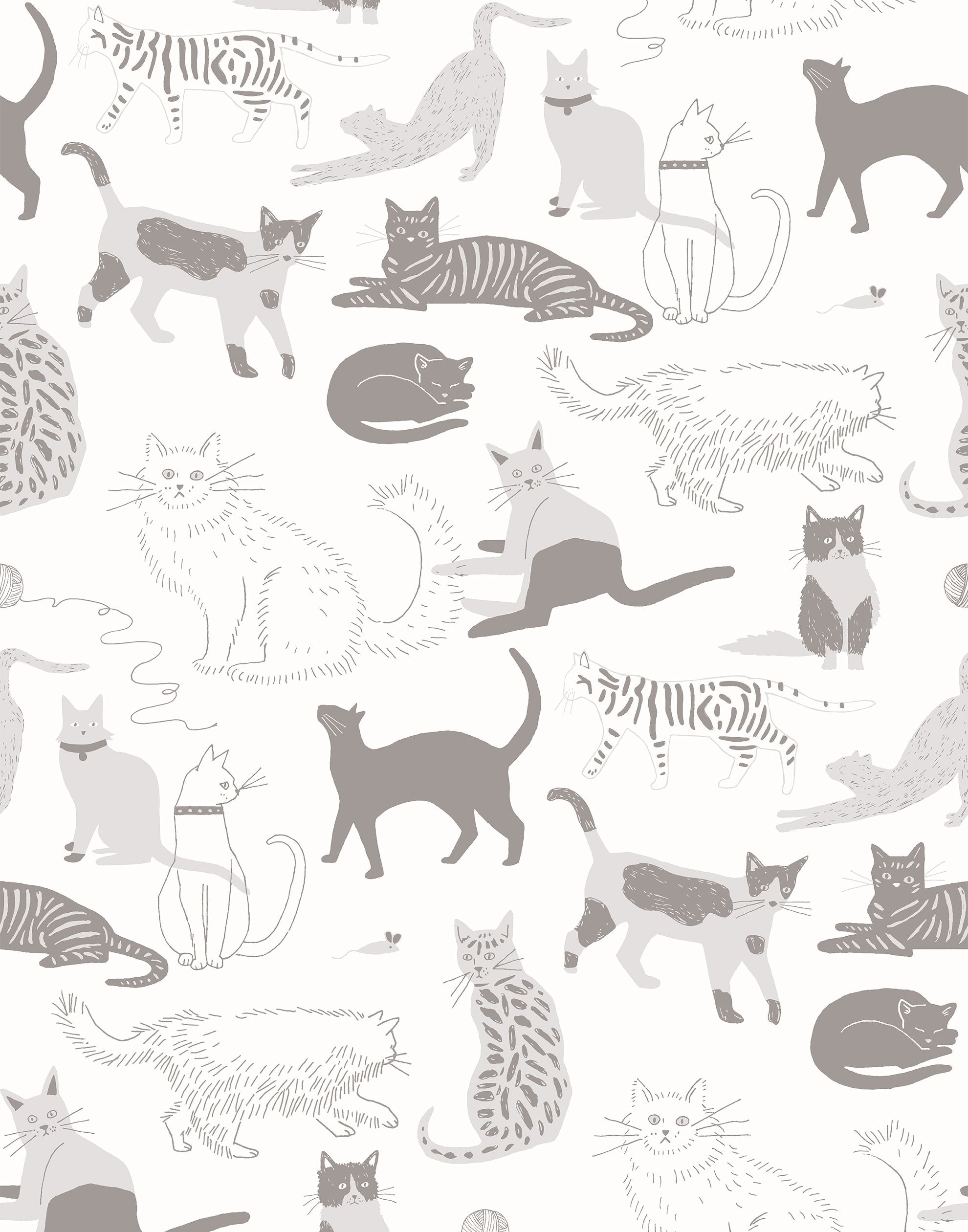 Cat's Meow Wallpaper. Hygge & West