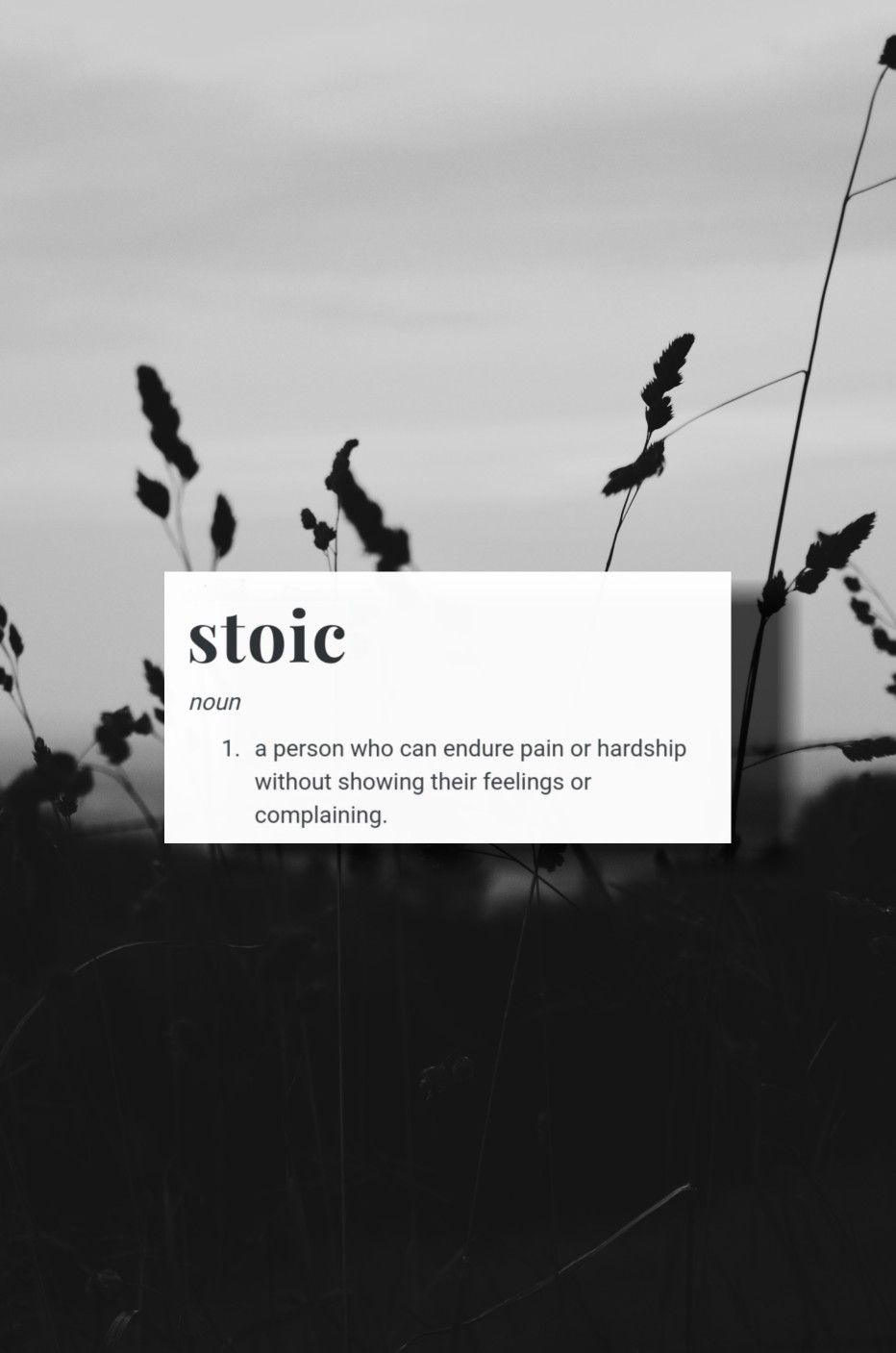 Stoic Aesthetic Wallpaper. Stoic quotes, Stoicism quotes, Funny facts