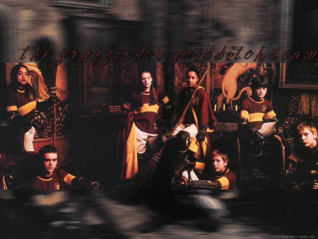 Gryffindor Quidditch Field Wallpaper