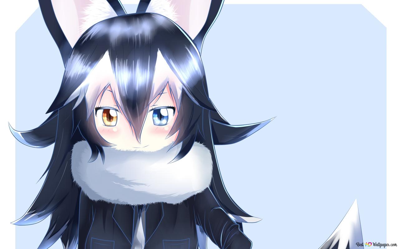 Kemono Friends Wolf HD wallpaper download