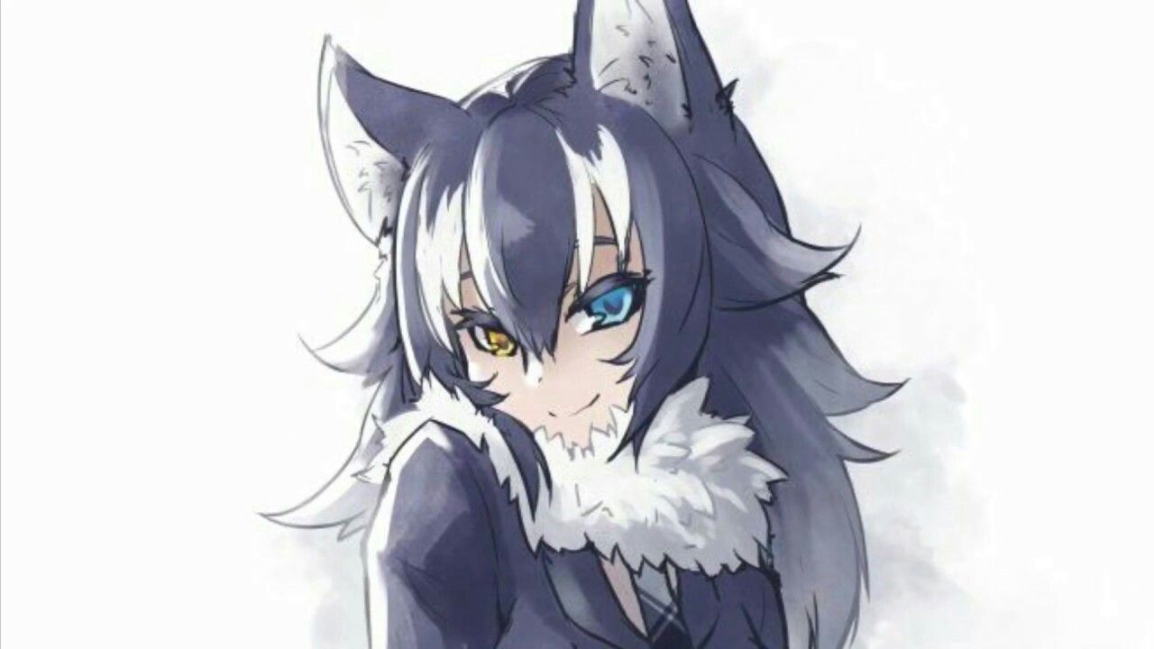 greywolf. Arte de anime, Personajes de anime, Arte anime de fantasía