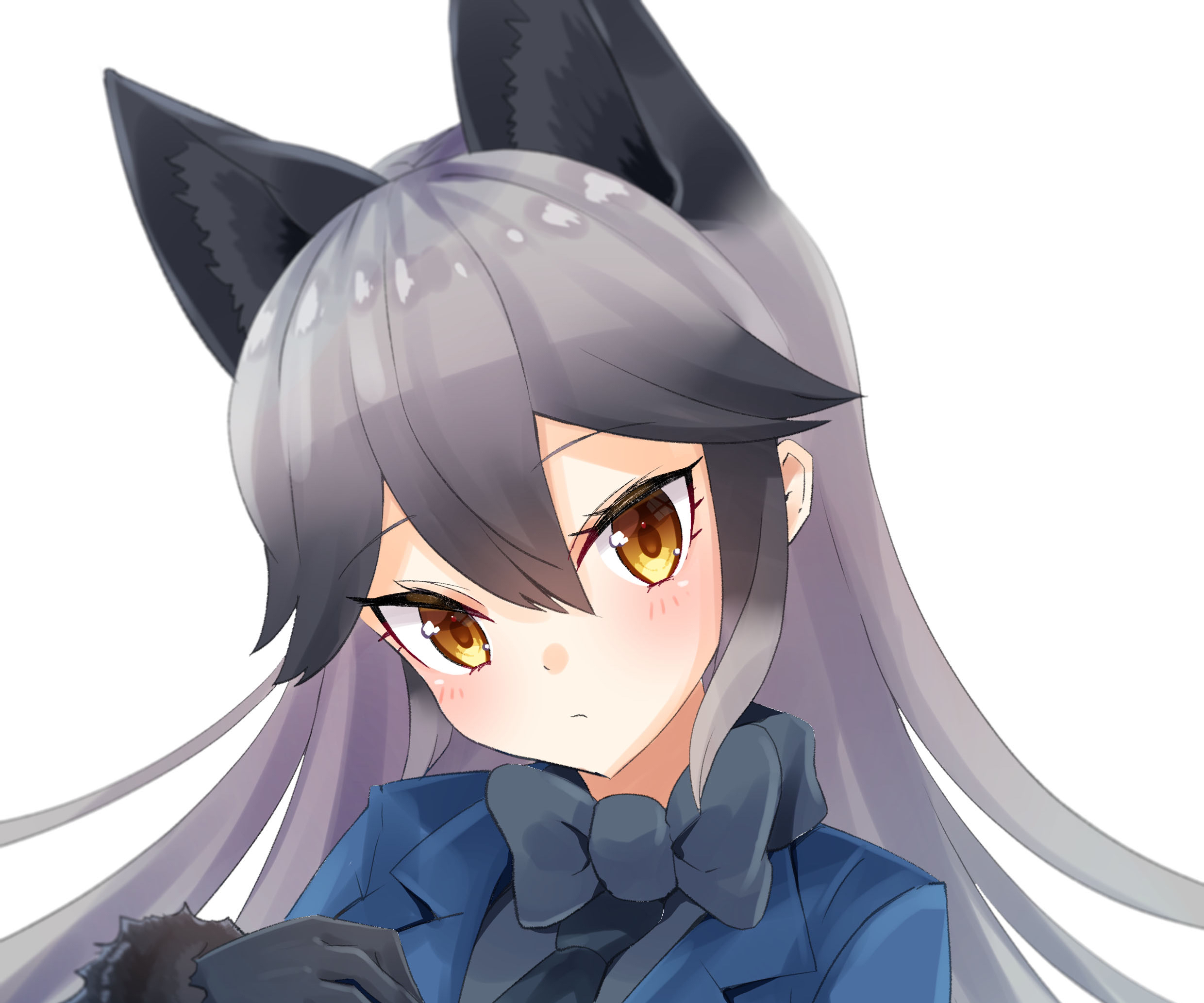 Silver Fox (Kemono Friends) HD Wallpaper and Background