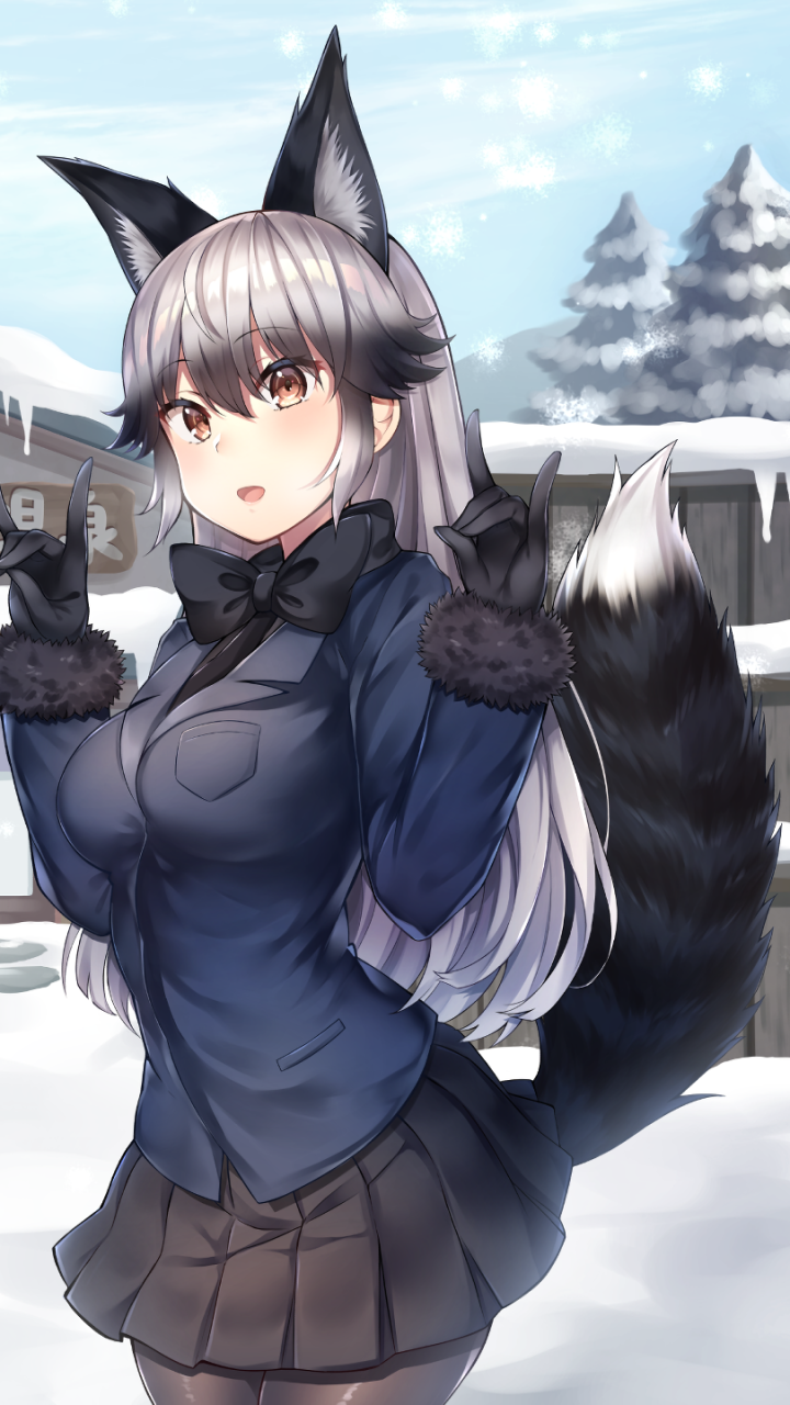 Wallpaper / Anime Kemono Friends Phone Wallpaper, Silver Fox (Kemono Friends), Ezo Red Fox (Kemono Friends), 720x1280 free download