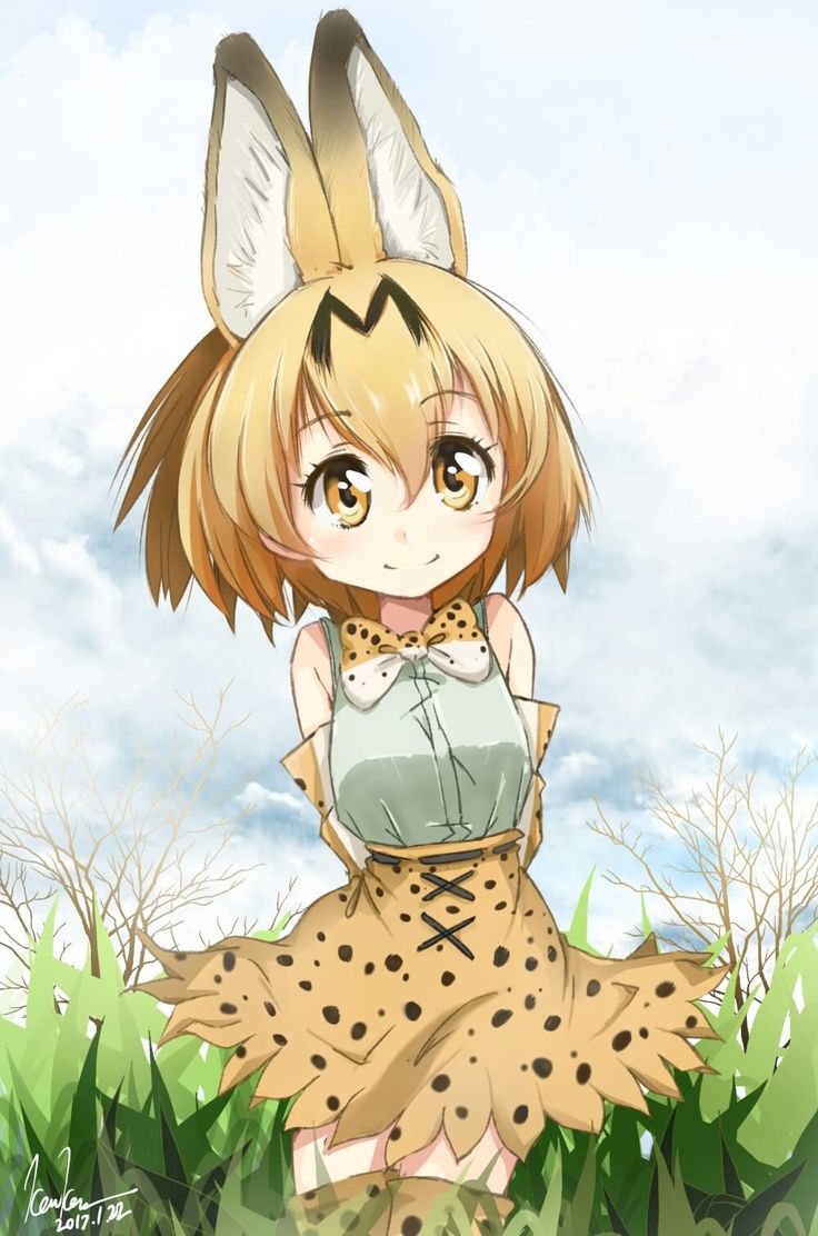 Sand Cat. Kemono friends, Cat girl, Nekomimi