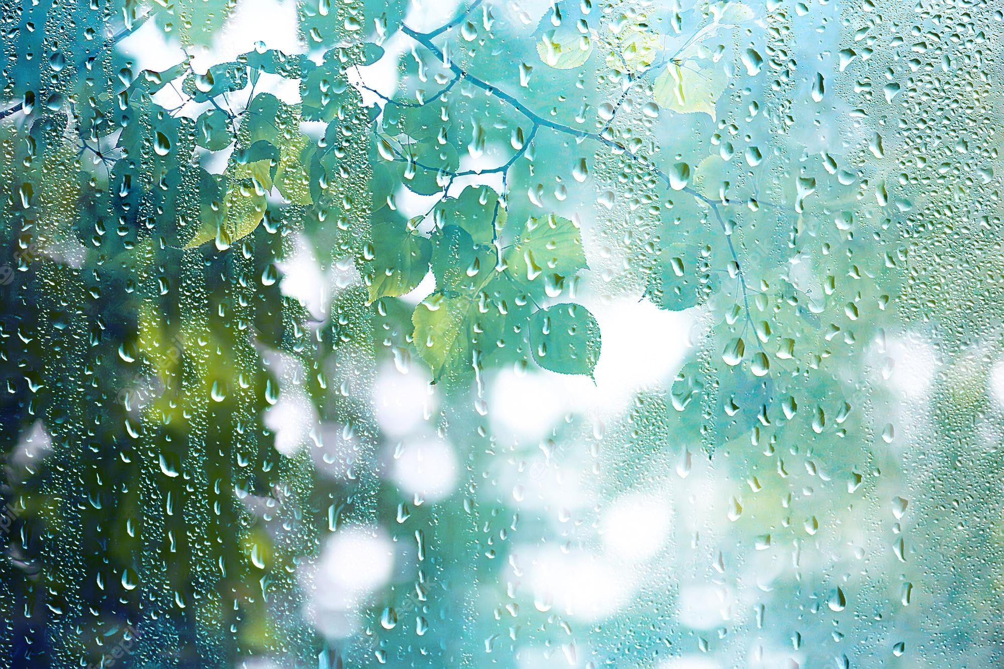 Rainy Window Image