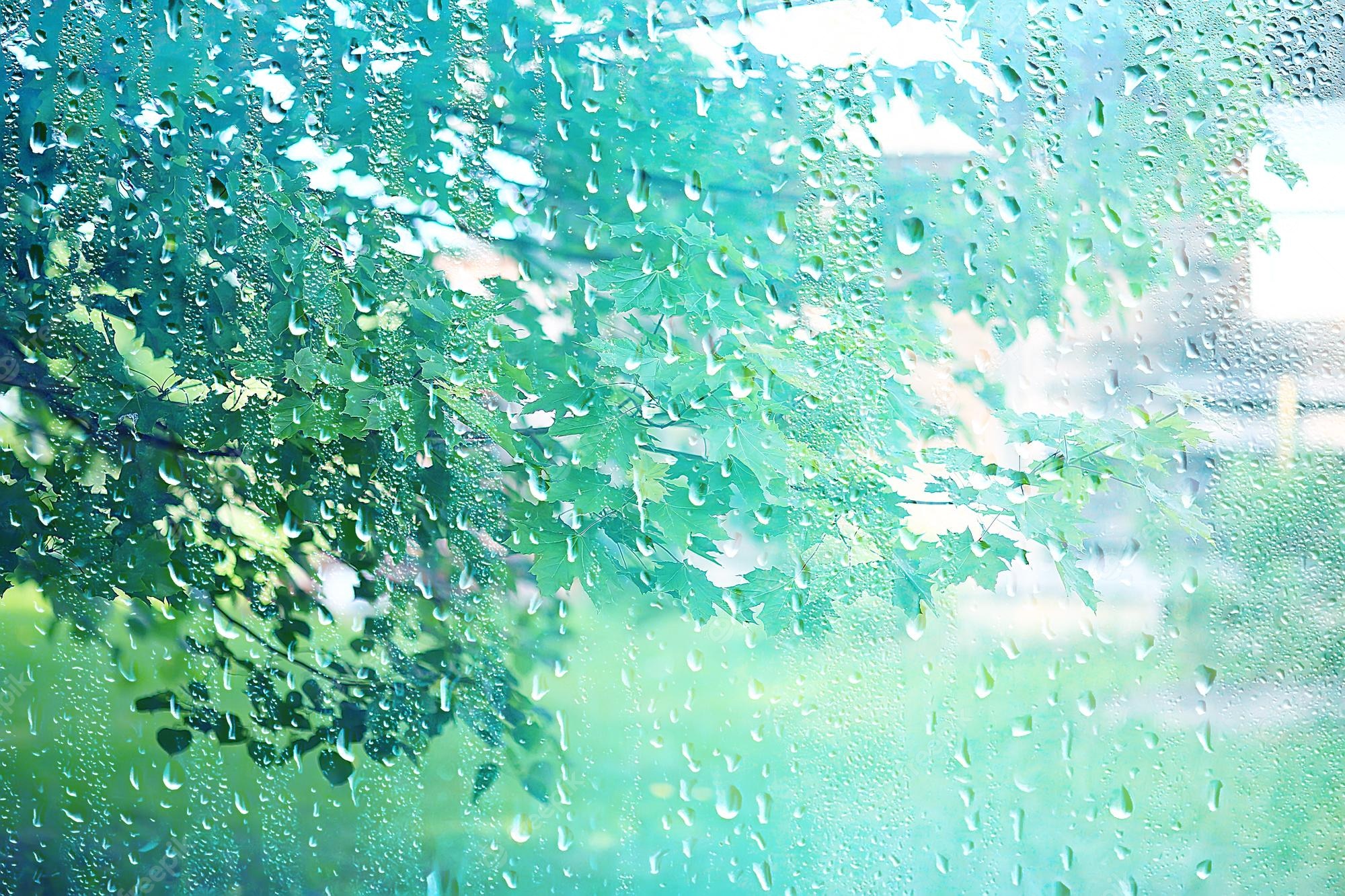 Premium Photo. Summer rain wet glass / abstract background landscape on a rainy day outside the window blurred background