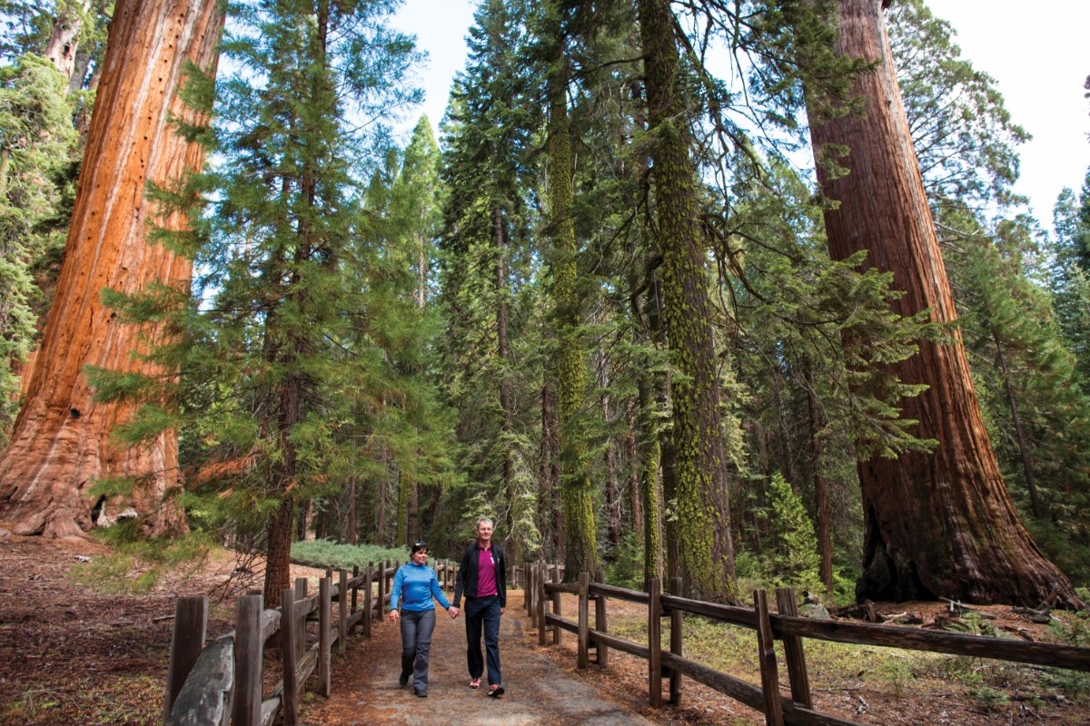 Top Places To Visit In the Sequoia National Forest