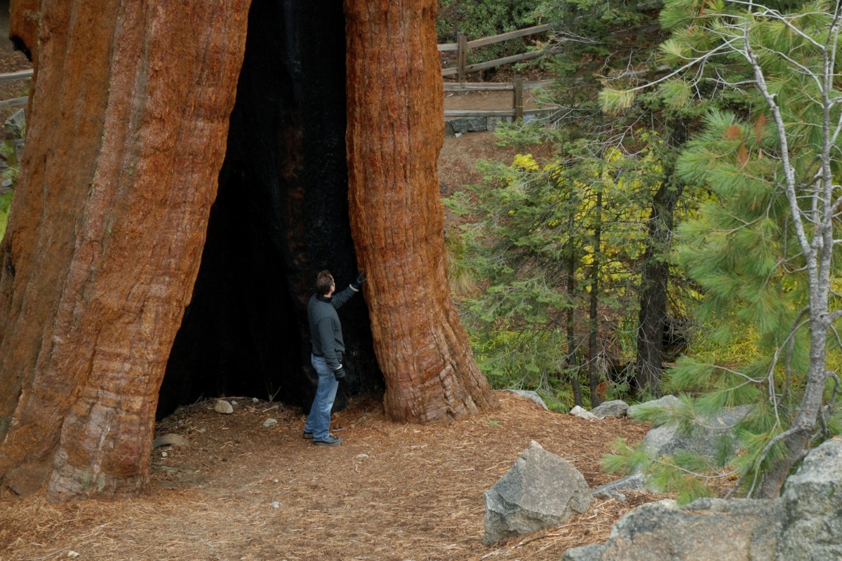 Top Places To Visit In the Sequoia National Forest