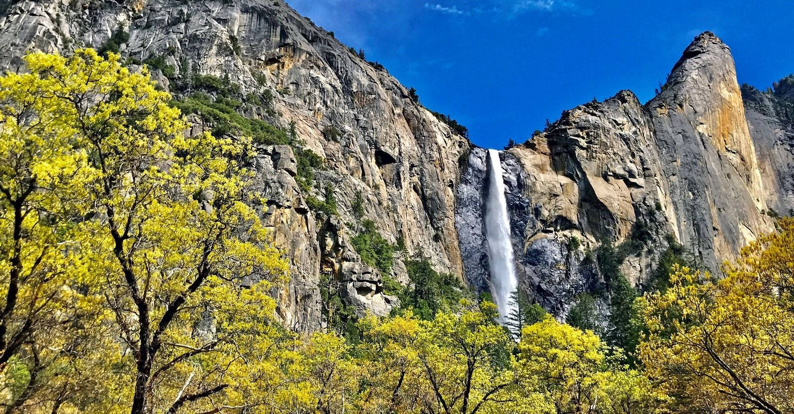 Download Yosemite National Park Spring Wallpaper