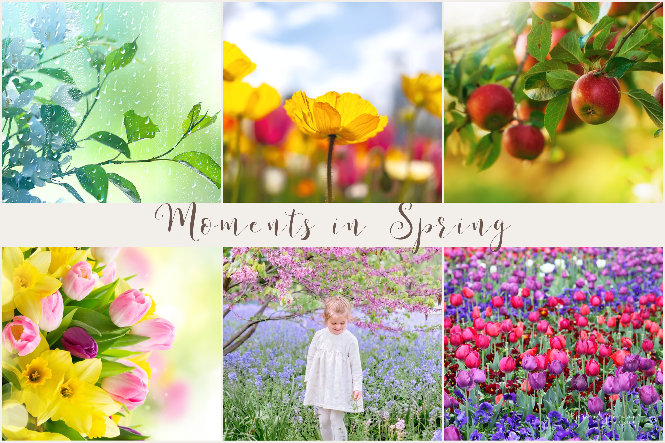 Moments in Spring Presets