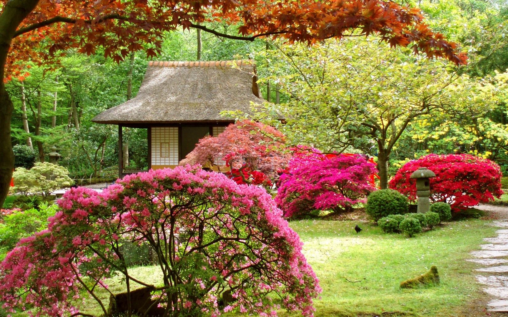 Japanese Flower Garden Wallpaper Free Japanese Flower Garden Background