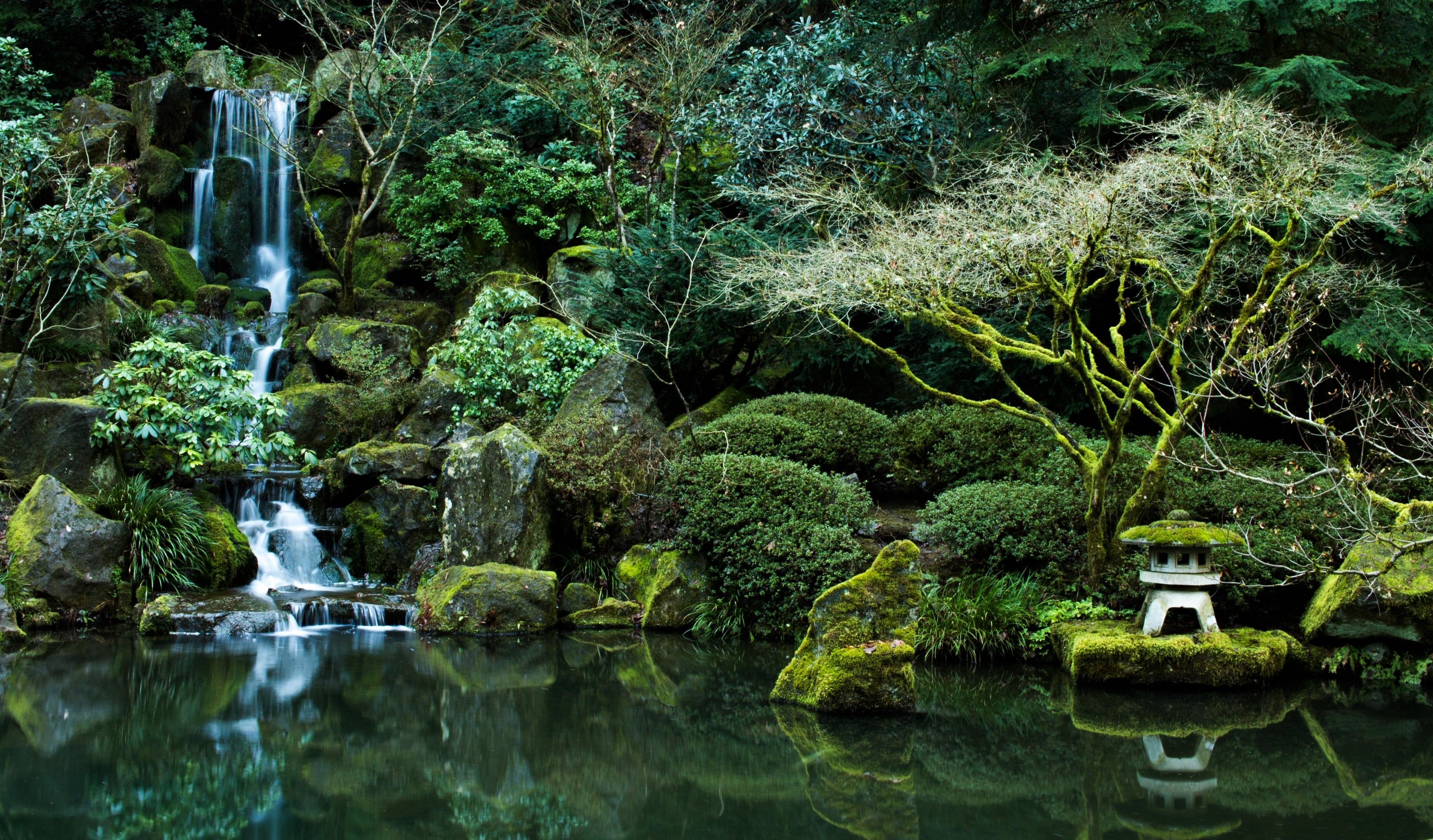pond, Nature, Rocks, Portland, Oregon, Portland, Japanese, Garden Wallpaper HD / Desktop and Mobile Background