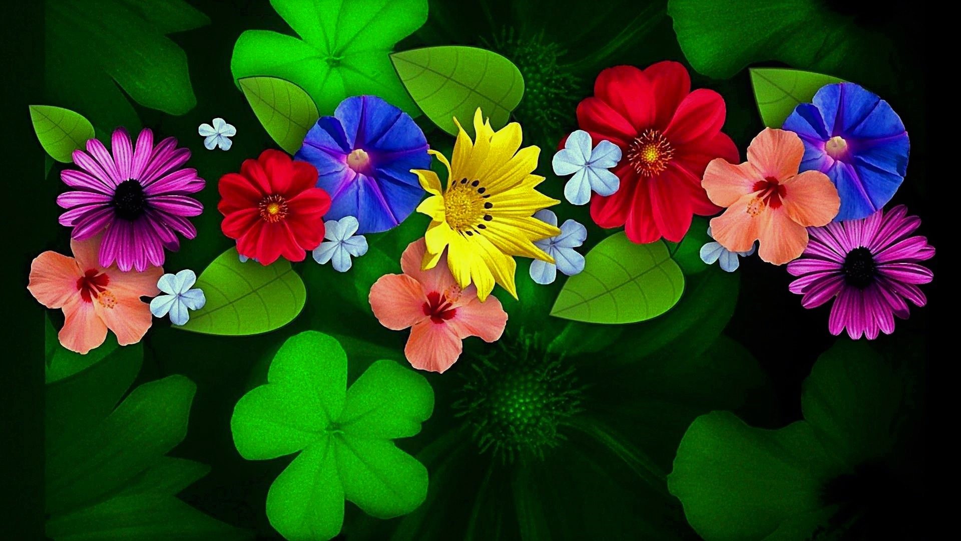 1920x1080 Abstract, Flower, Colors, Colorful, Clover wallpaper JPG Gallery HD Wallpaper