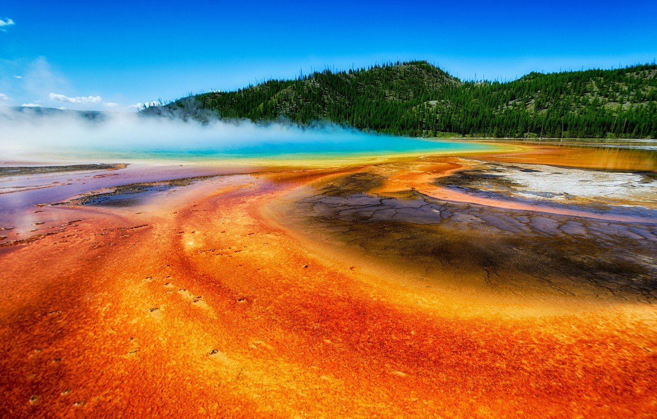 Wallpaper forest, USA, Yellowstone, Yellowstone national Park, geyser, Yellowstone, hot spring, bright color image for desktop, section пейзажи