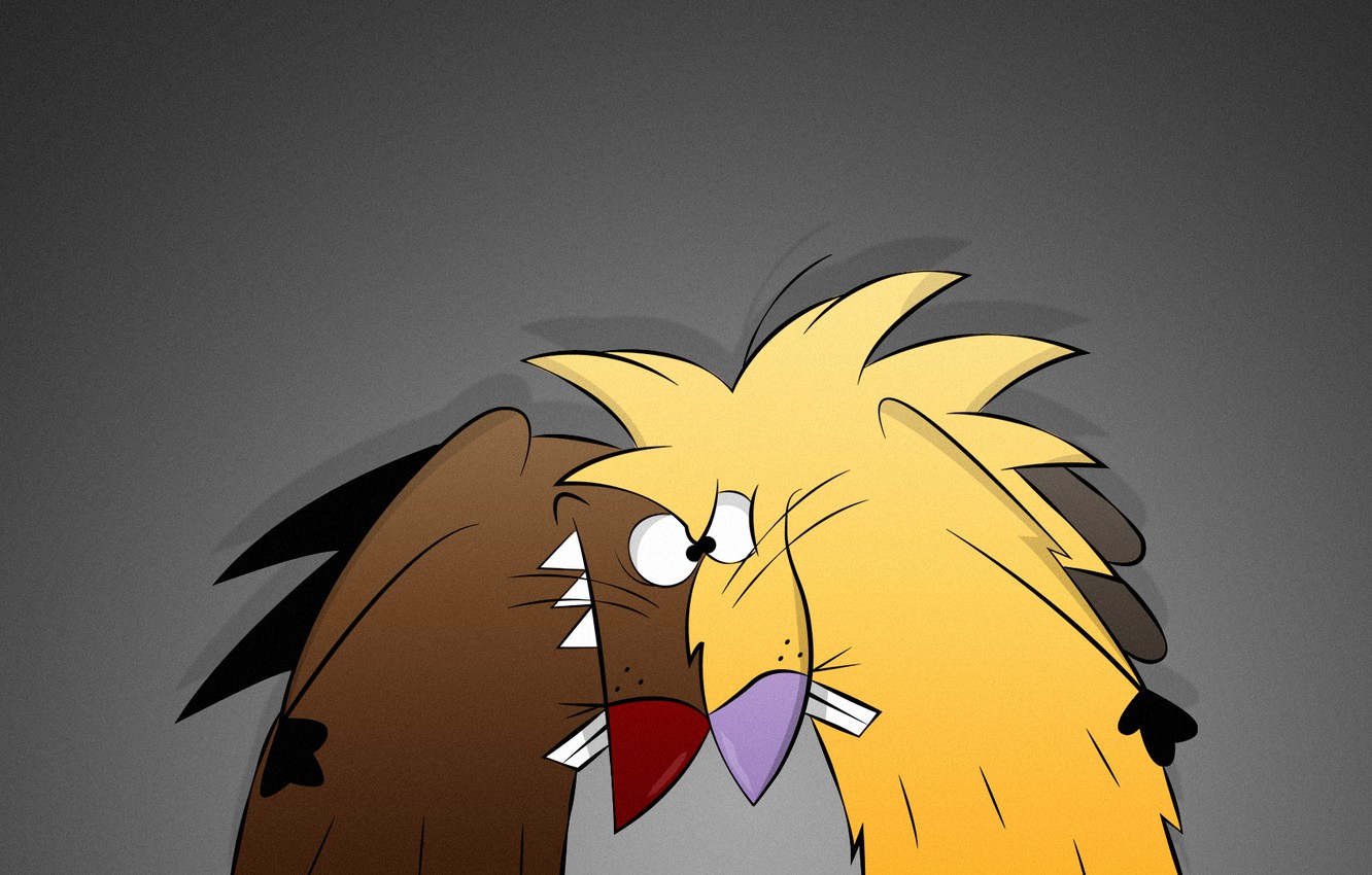Wallpaper beavers, The Angry Beavers, Norbert, Dagget image for desktop, section фильмы