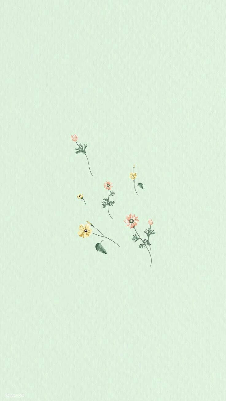 Download Mint Green Aesthetic Small Flowers Wallpaper