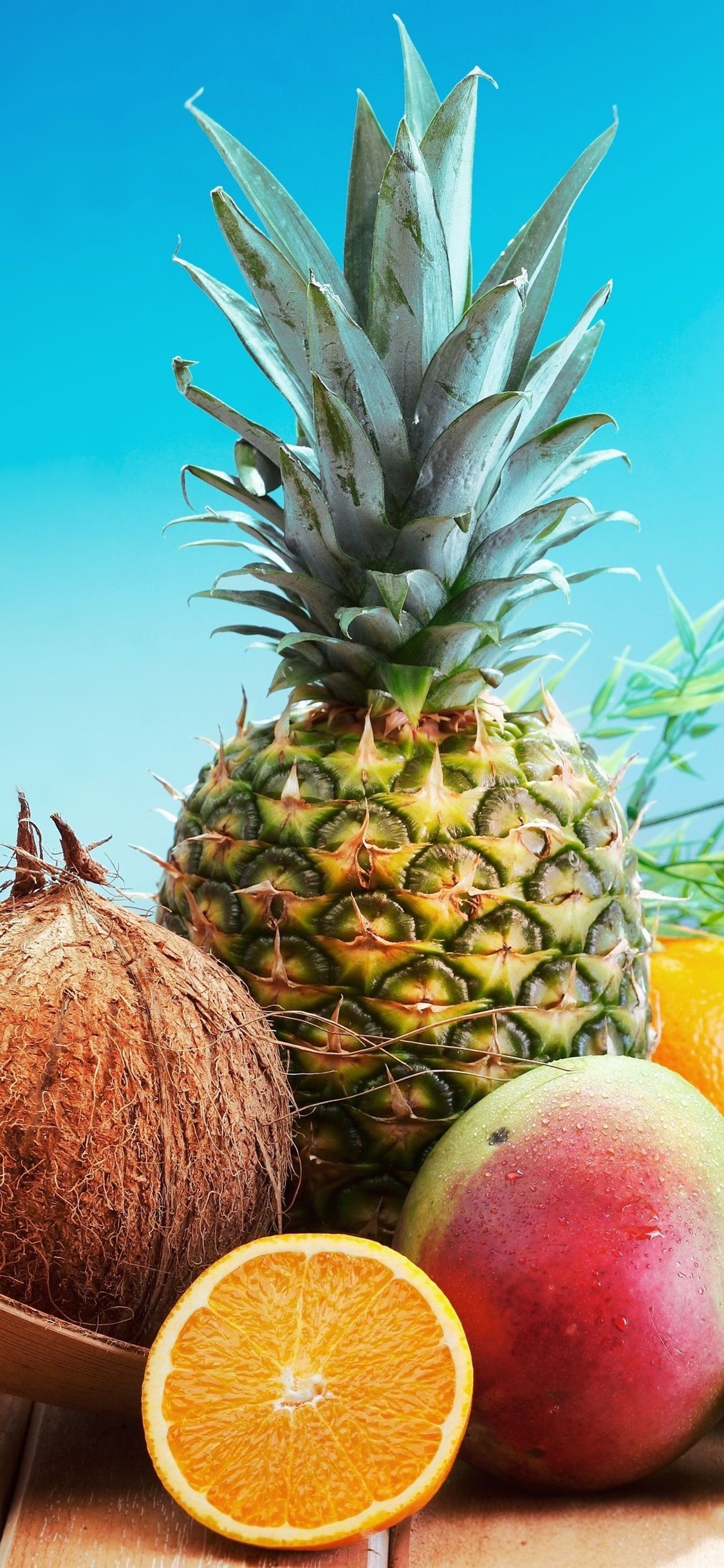 Fruits, Pineapple, Coconut, Avocado, Mango, Kiwi, Orange 1125x2436 IPhone 11 Pro XS X Wallpaper, Background, Picture, Image