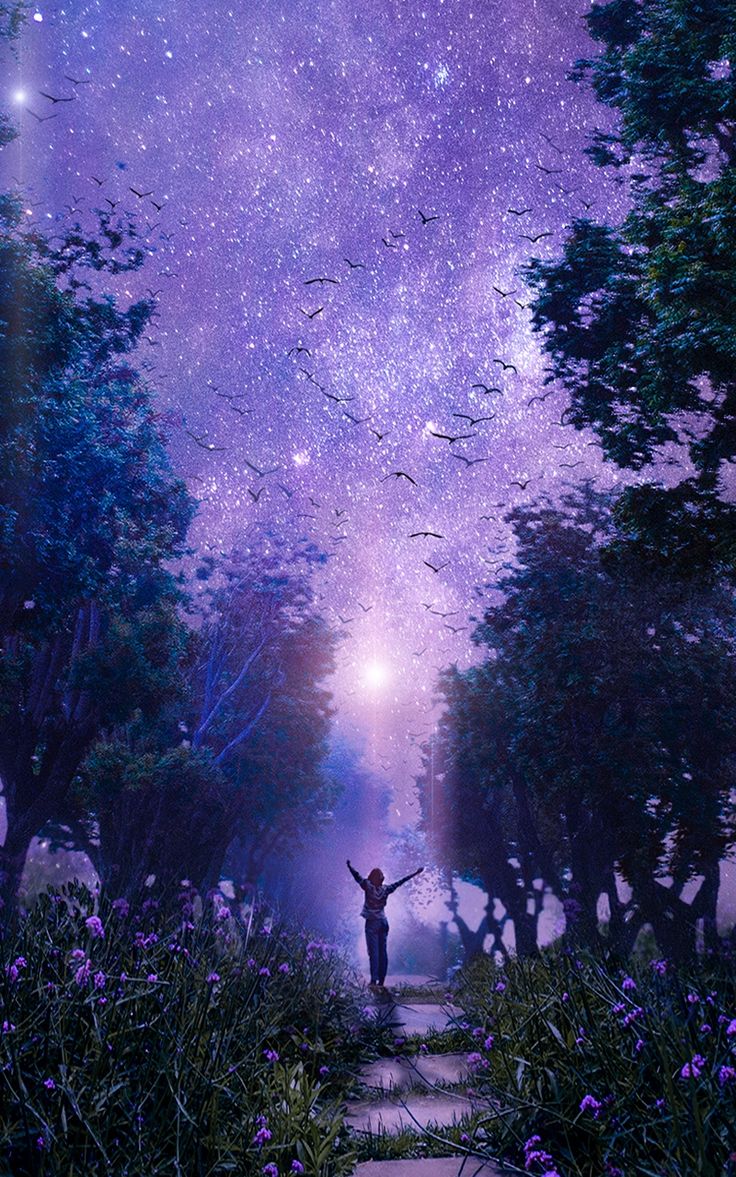 Wallpaper forest art starry sky purple fabulous. Sky art, Dark purple wallpaper, iPhone wallpaper sky