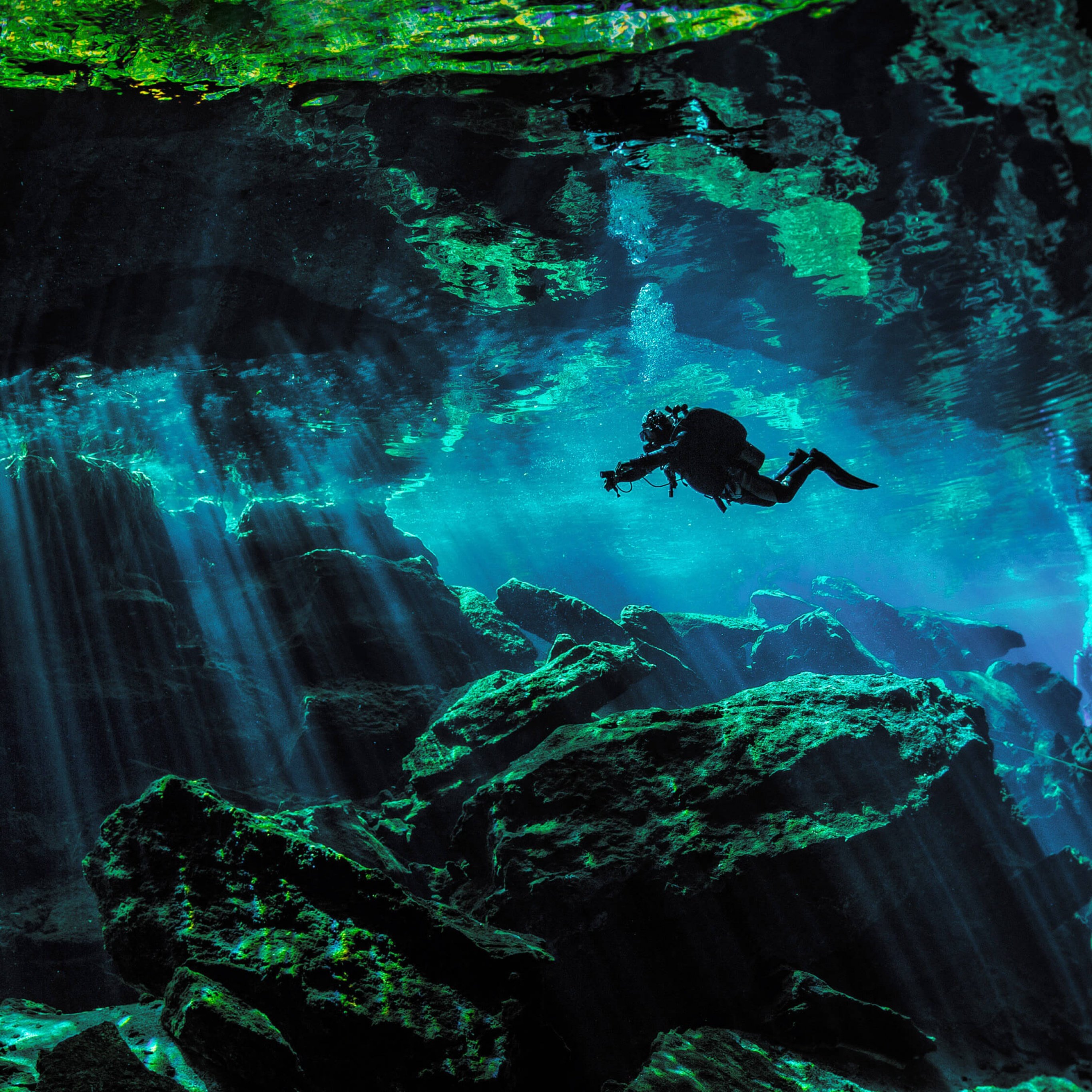 Scuba Diver Wallpaper 4K, Underwater, Nature