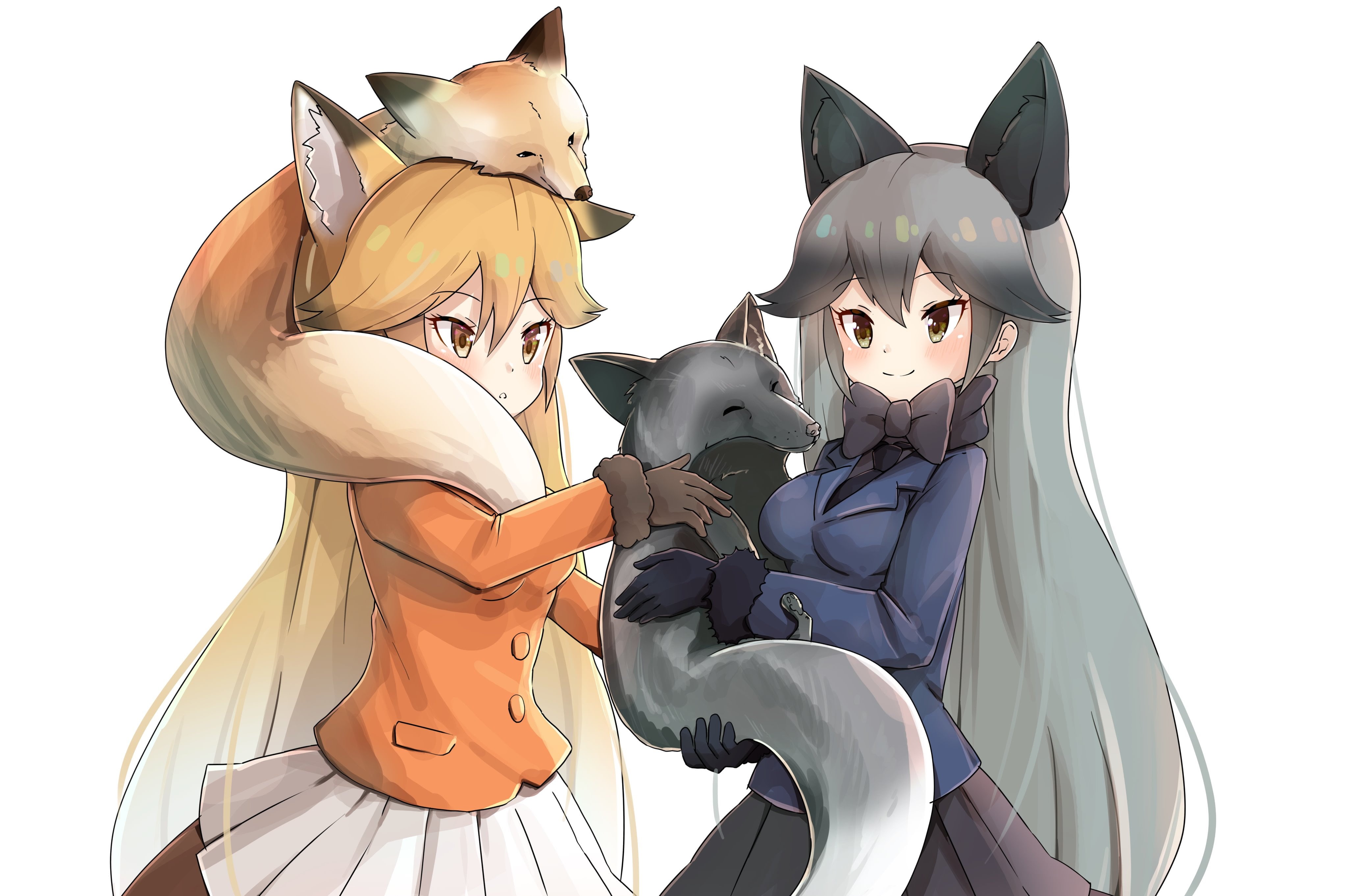 Wallpaper / anime girls, white background, 4K, animal ears, Red fox (Kemono friends), Silver fox (Kemono friends), anime, Kemono Friends free download