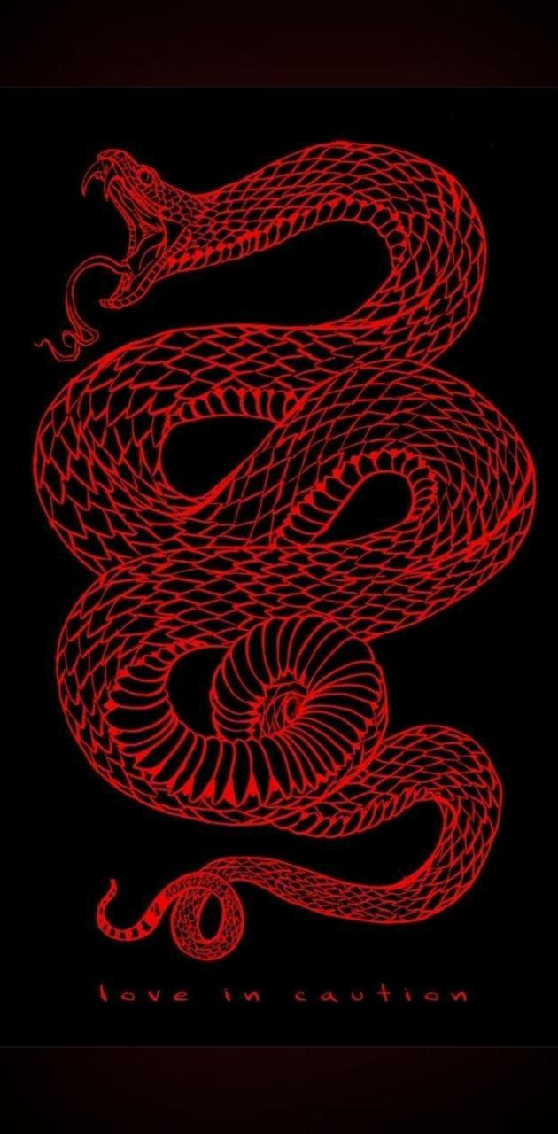 Dragon red wallpaper