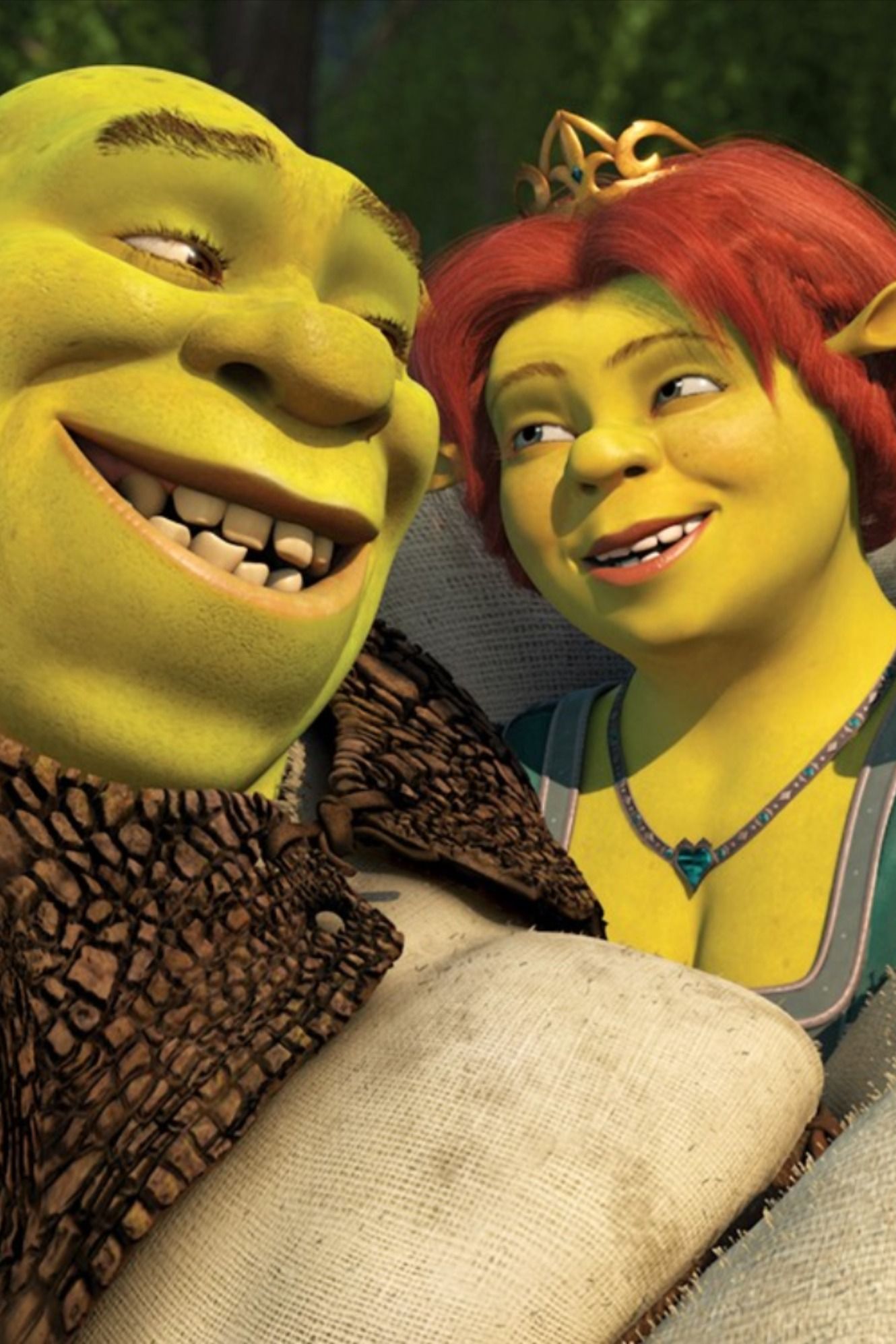 Shrek. Shrek, Fiona shrek, Princess fiona