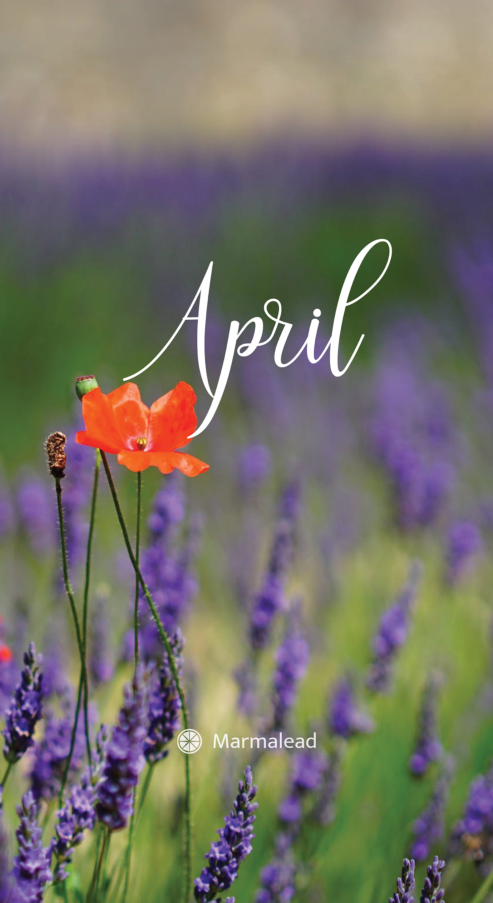 Free Desktop Calendar Wallpaper