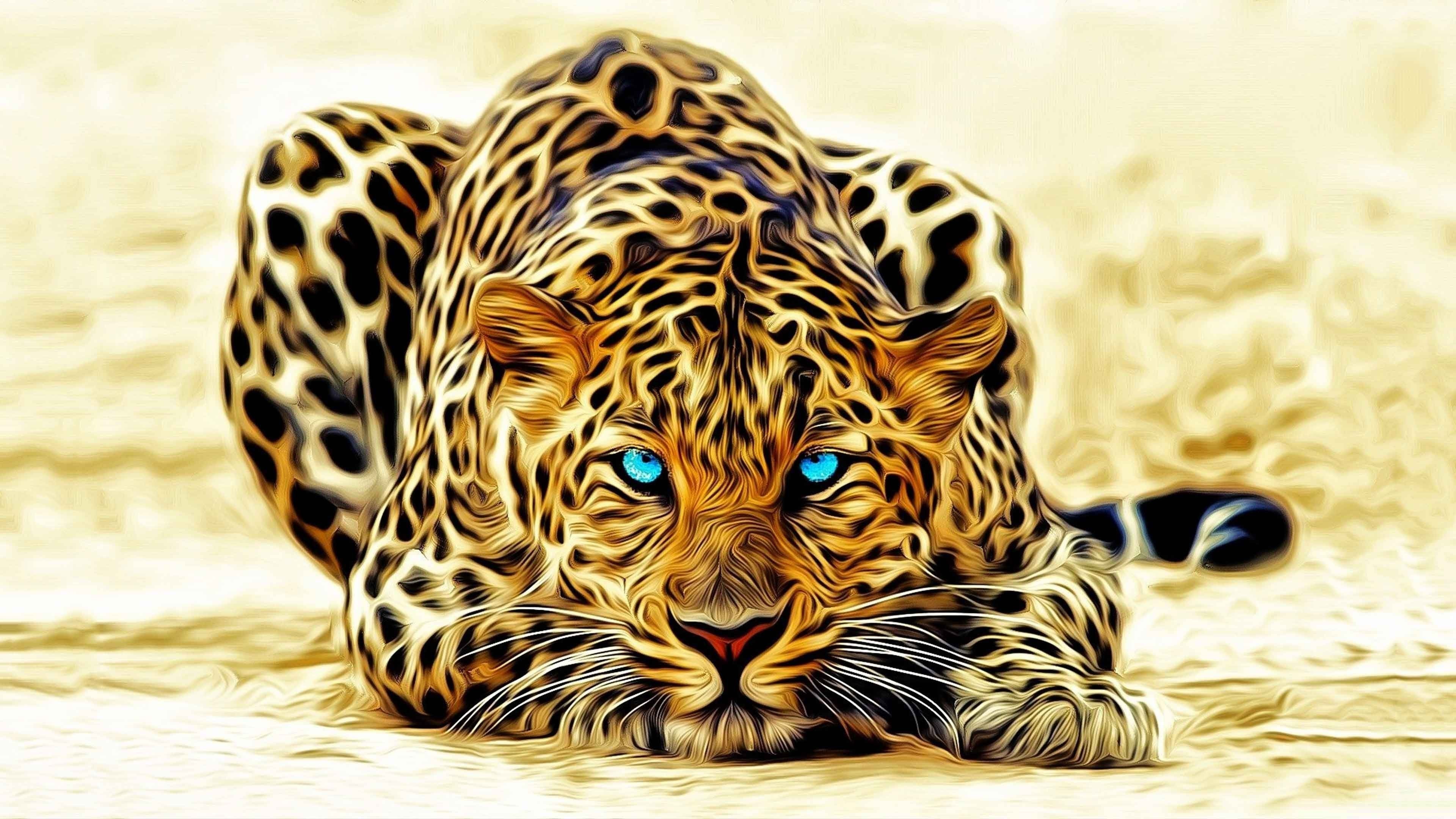 3840x2160 leopard 4k background desktop computer Gallery HD Wallpaper