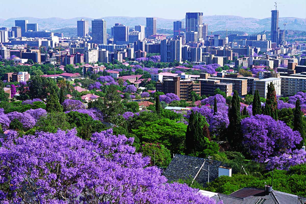 Pretoria City Half Day Jacaranda Tour Welcome Safaris
