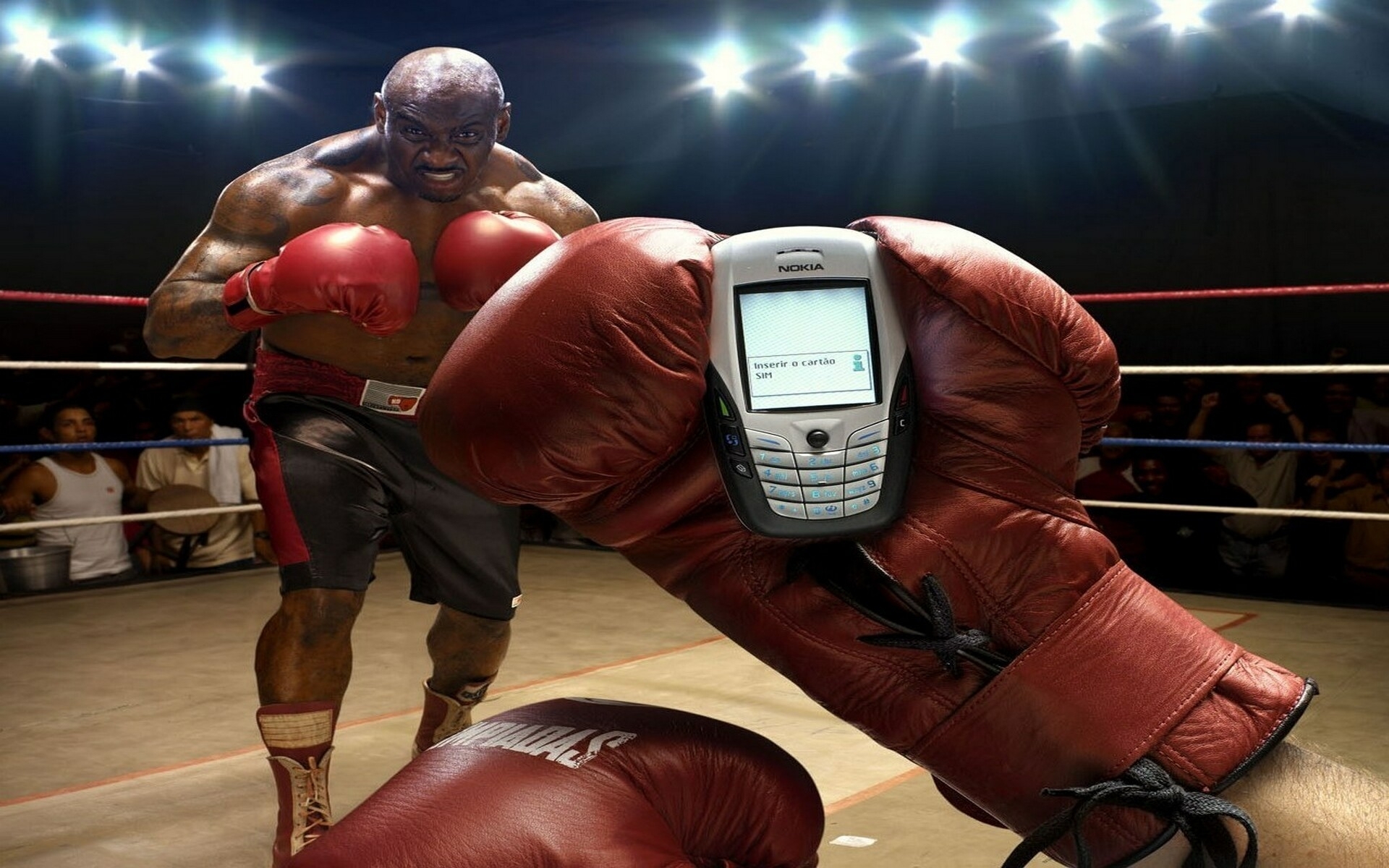 Download Boxing Sports HD Wallpaper