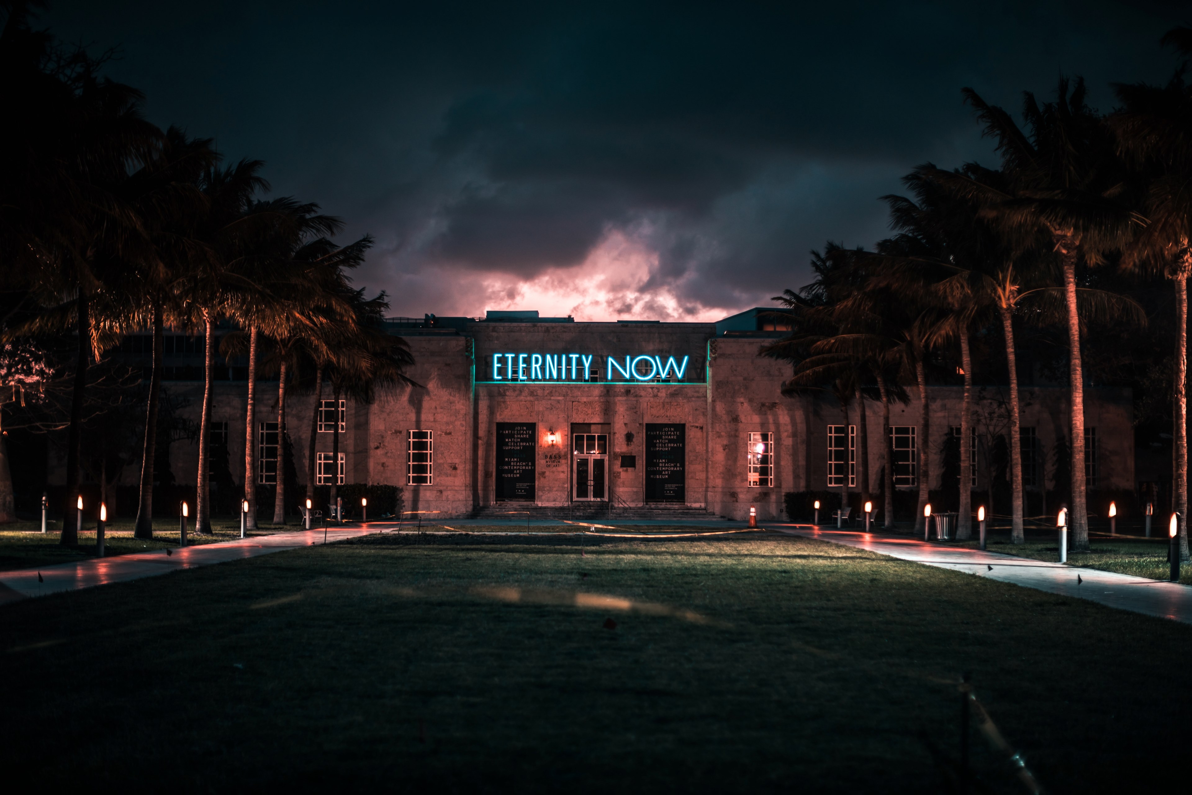 Wallpaper / neon sign on a building by the palm tree rows at miami beach, eternity now 4k wallpaper free download