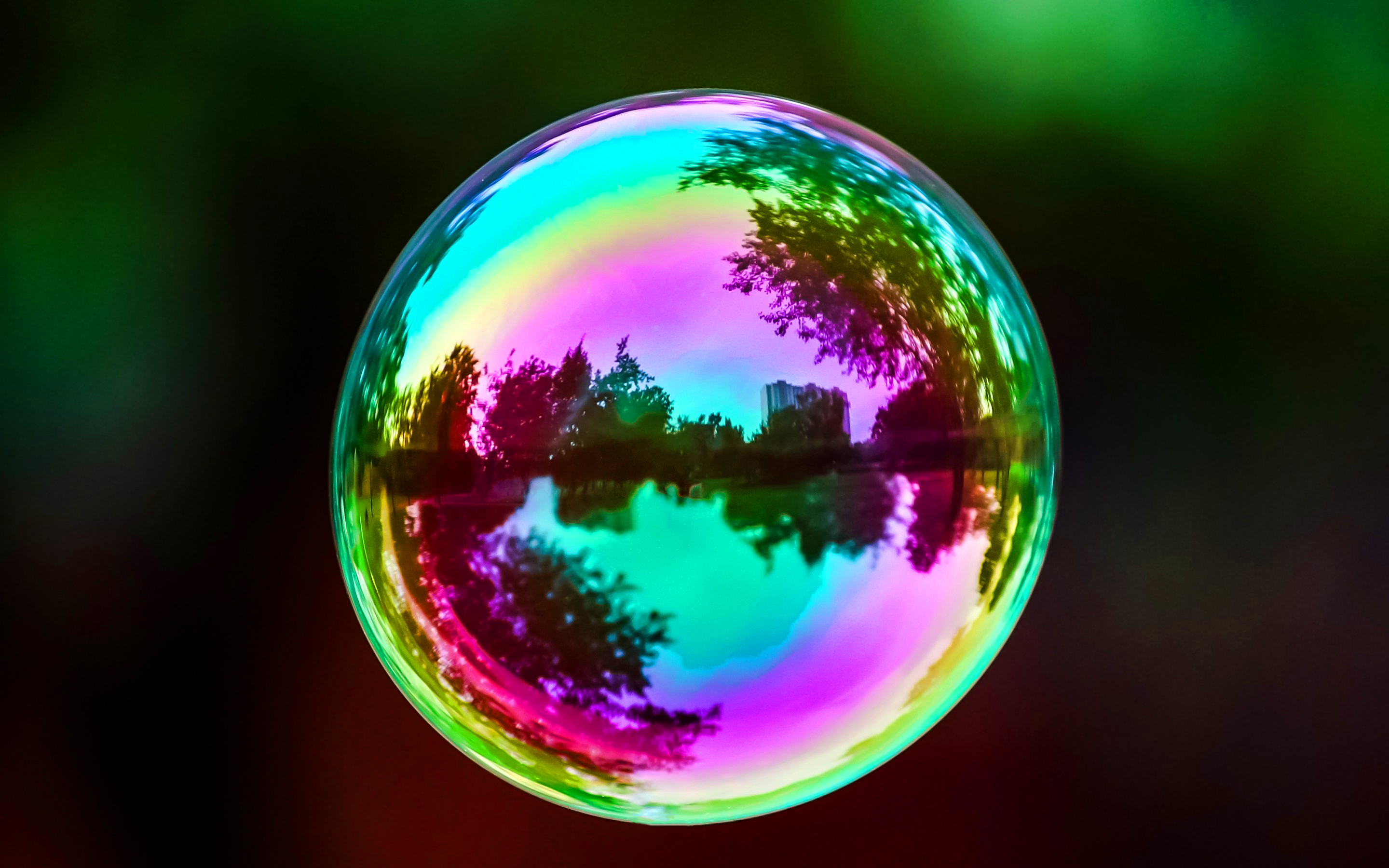 Free photo: colorful soap bubbles, Round, Magic
