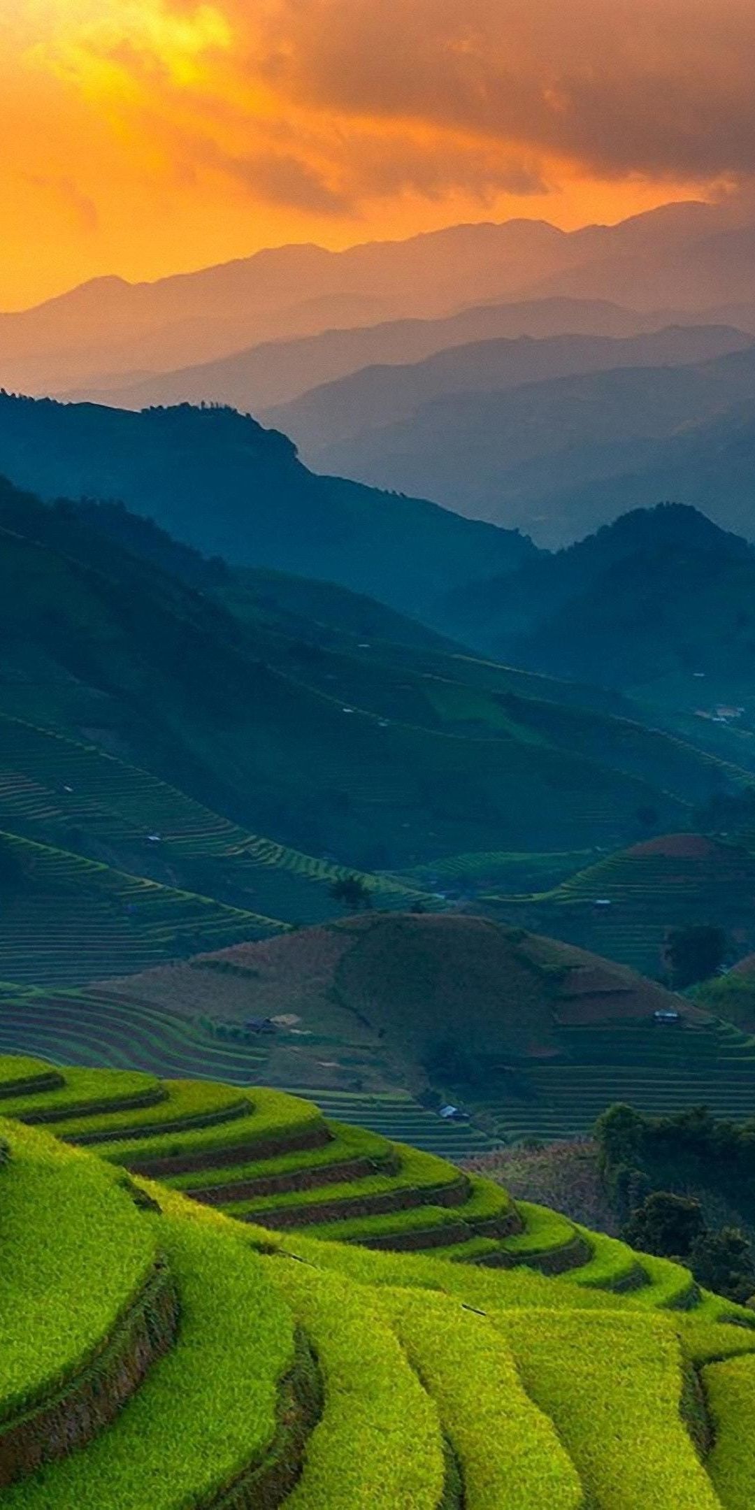 Rice farms, landscape, horizon, mountains, Philippines, 1080x2160 wallpaper. Philippinen, Landschaft, Skizzen kunst