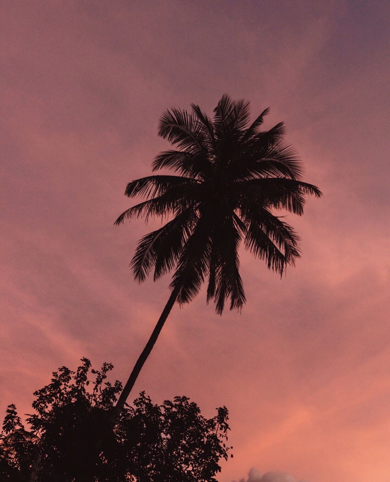 Dreamy sunsets in Siargao, Philippines. Siargao island, Photography wallpaper, Siargao