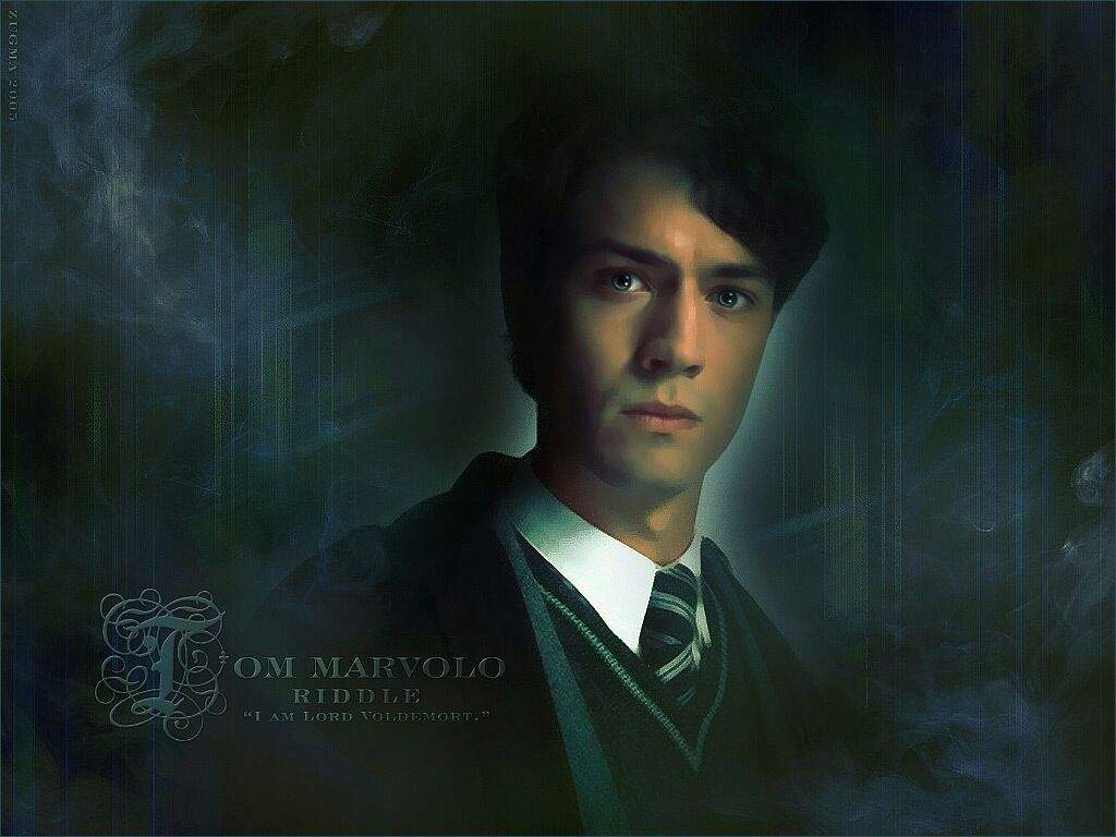 What to you think? Is Tom Riddle Hot?. Harry Potter Amino