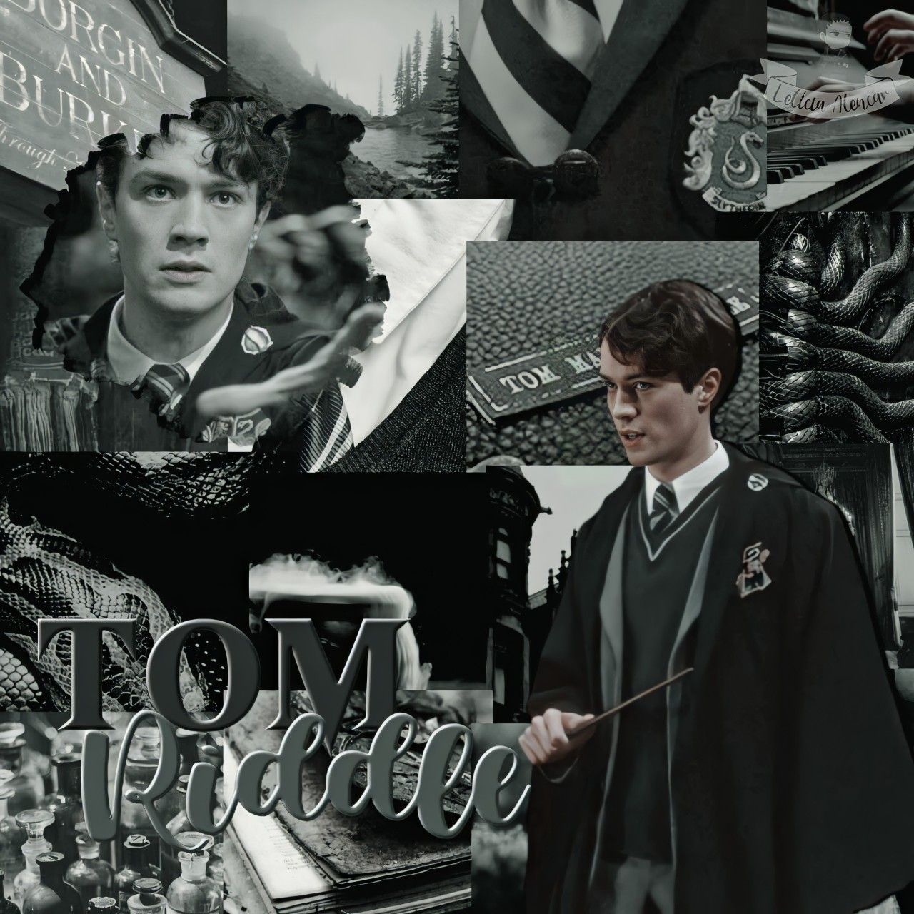 Tom Riddle. Harry potter, Tom riddle, Voldemort