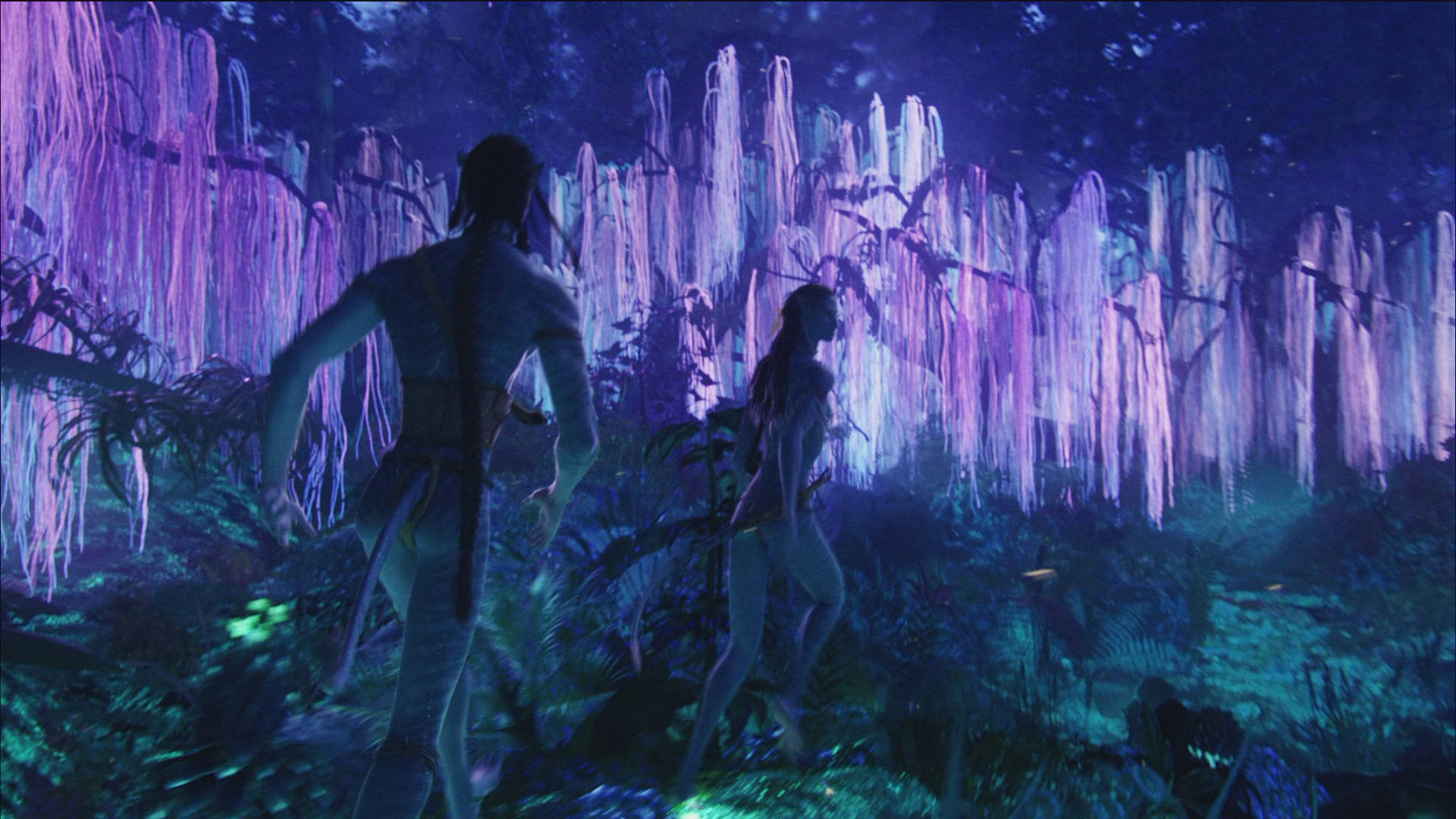 Download Pandora Forest Avatar Film Wallpaper