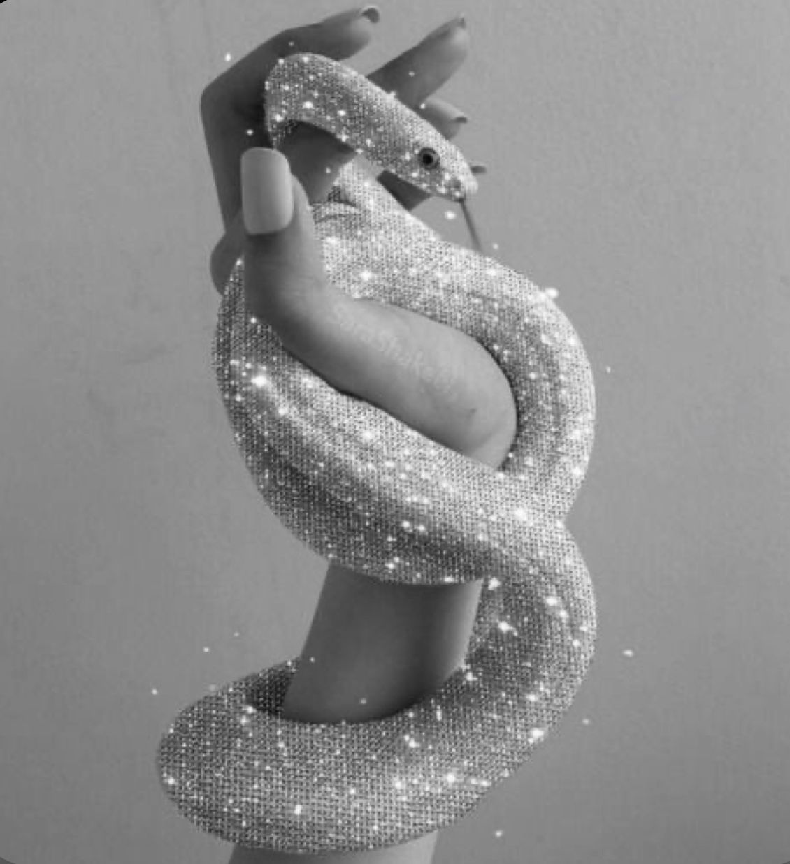 Glitter snake aesthetic. Black and white photo wall, Black and white picture wall, Black aesthetic wallpaper