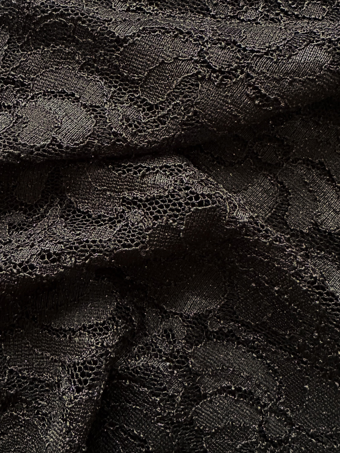 Black Stretch Glitter Lace