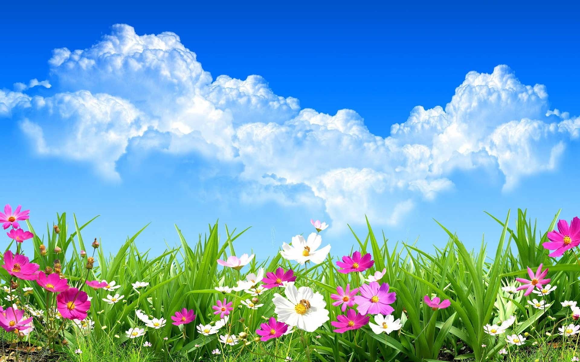 spring HD 1080p high quality 1080P, 2k, 4k Full HD Wallpaper, Background Free Download