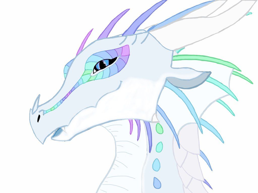 Rainwing Icewing On WoF Hybrids. Wings Of Fire, Wings Of Fire Dragons, Dragon Picture