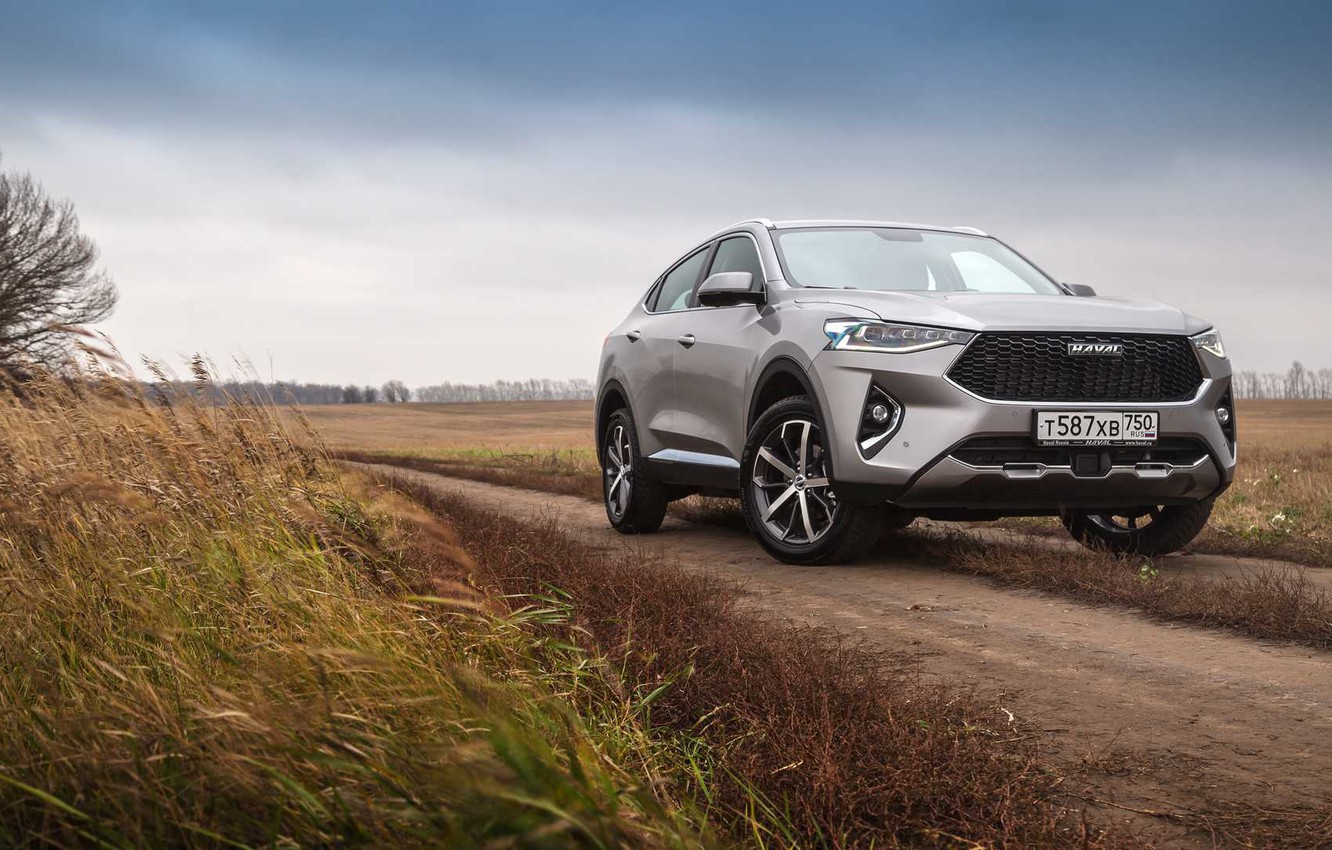 Wallpaper road, field, car, machine, the sky, car, front, crossover, Chinese car, gray car, Haval, Haval F7X, F7X image for desktop, section другие марки