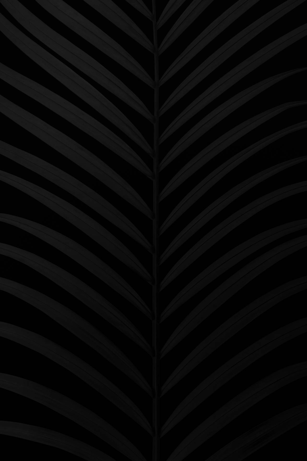 Free Matte Black Wallpaper Downloads, Matte Black Wallpaper for FREE